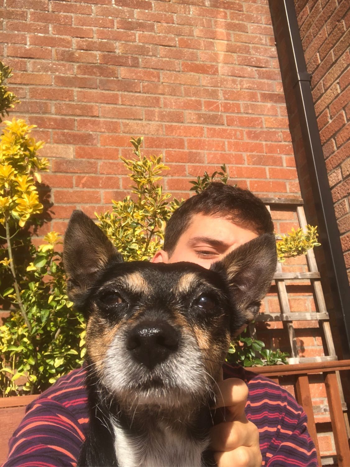 image-9