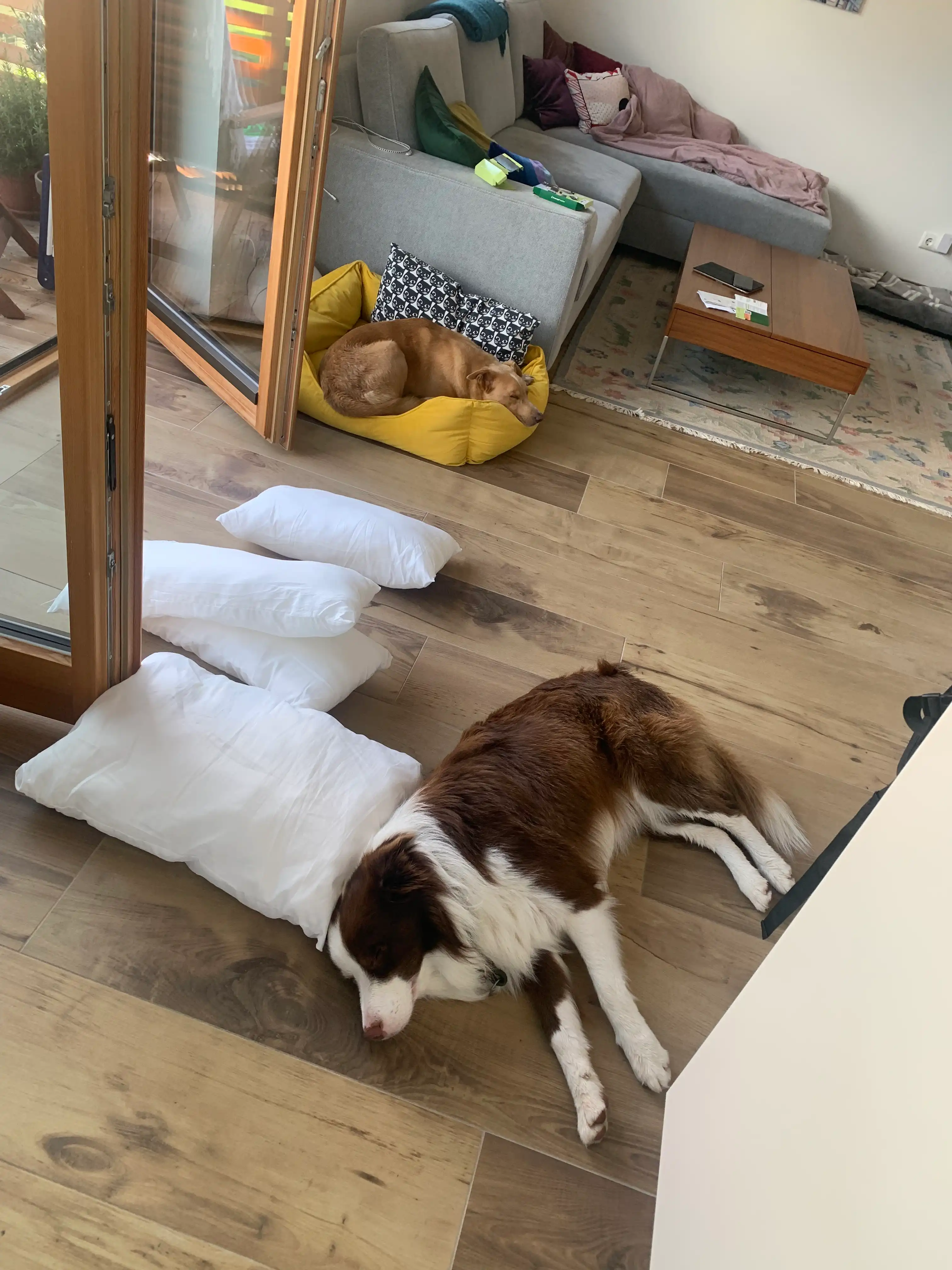 image-18