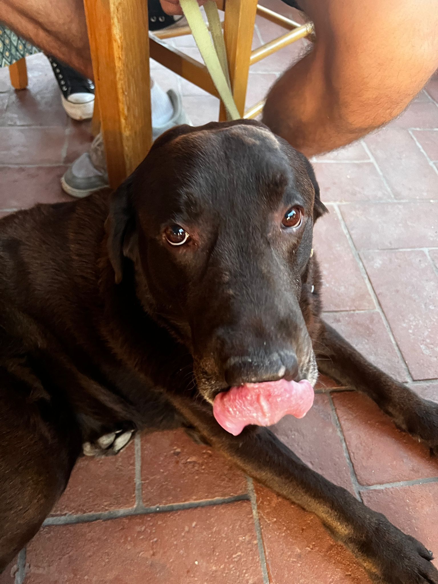 image-5