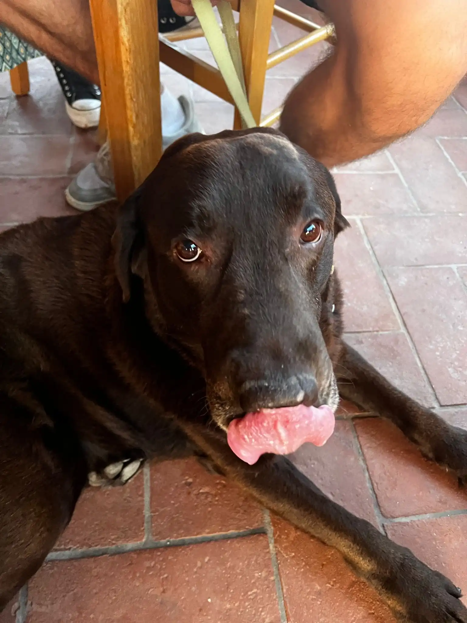 image-5