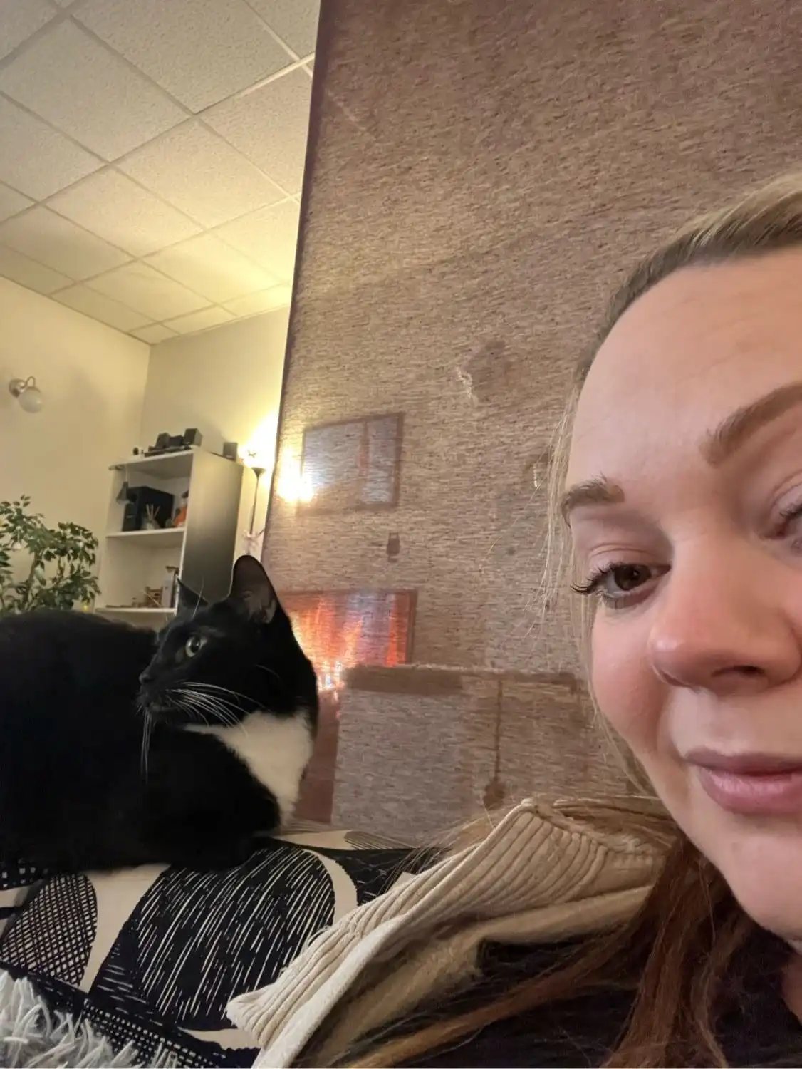 image-7