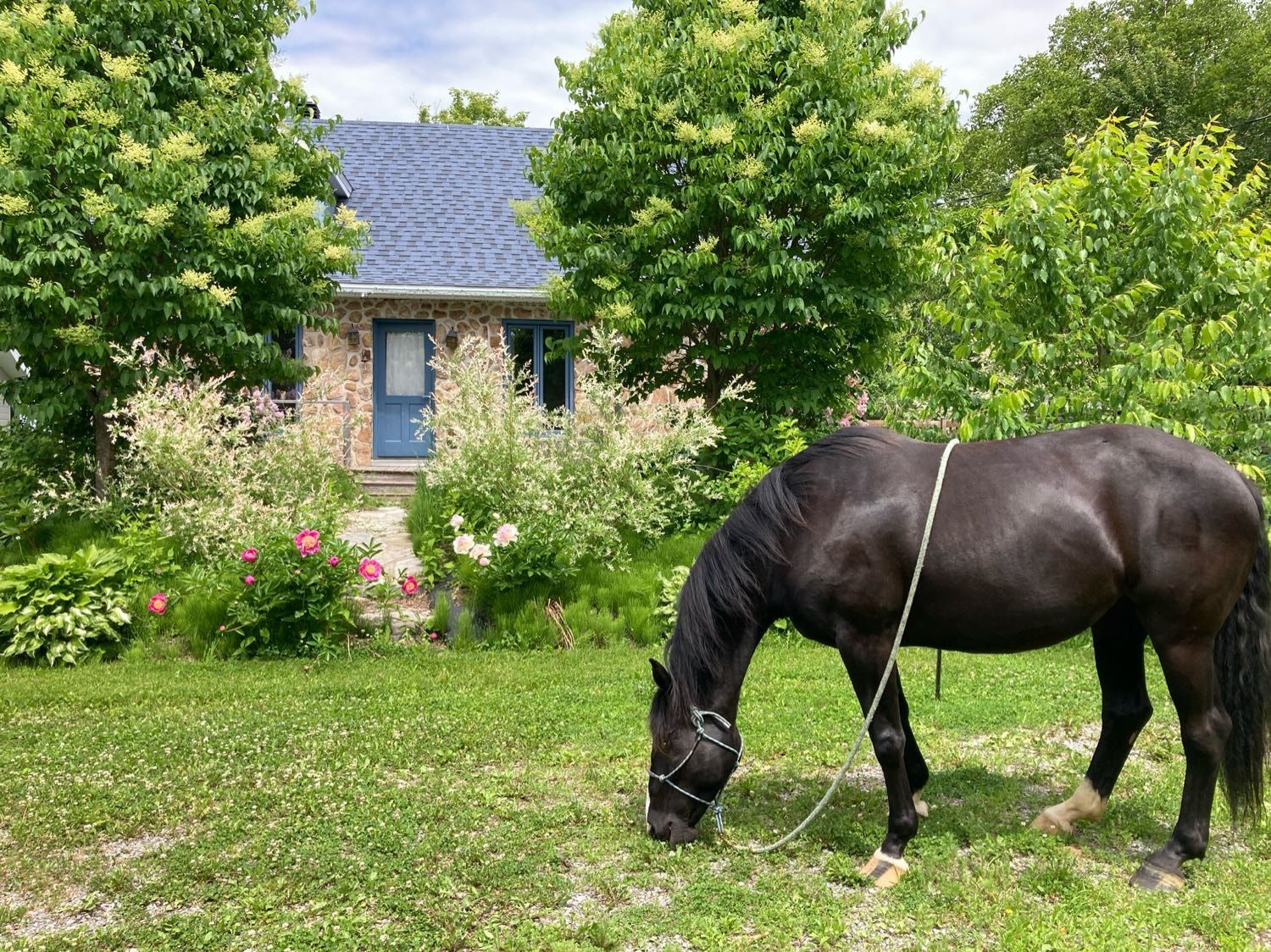 image-17