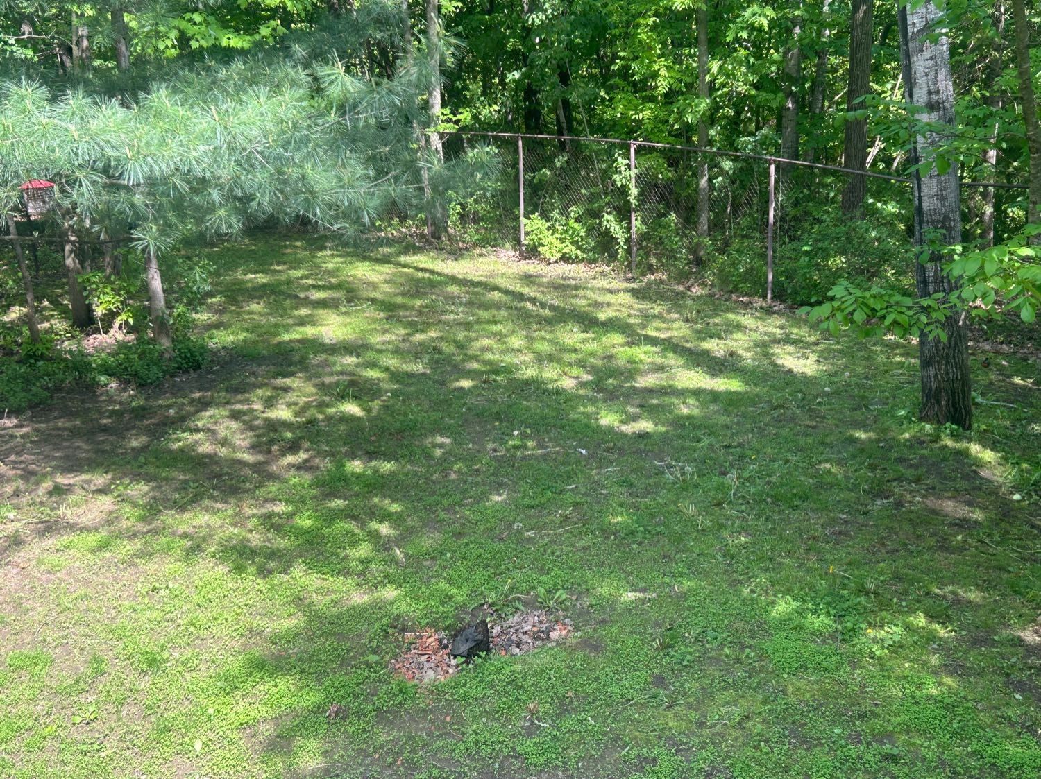 image-29