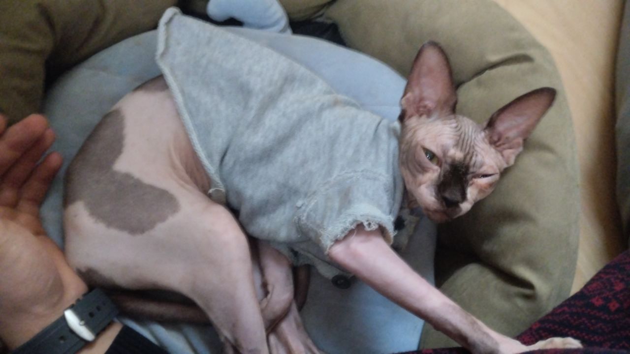 image-18