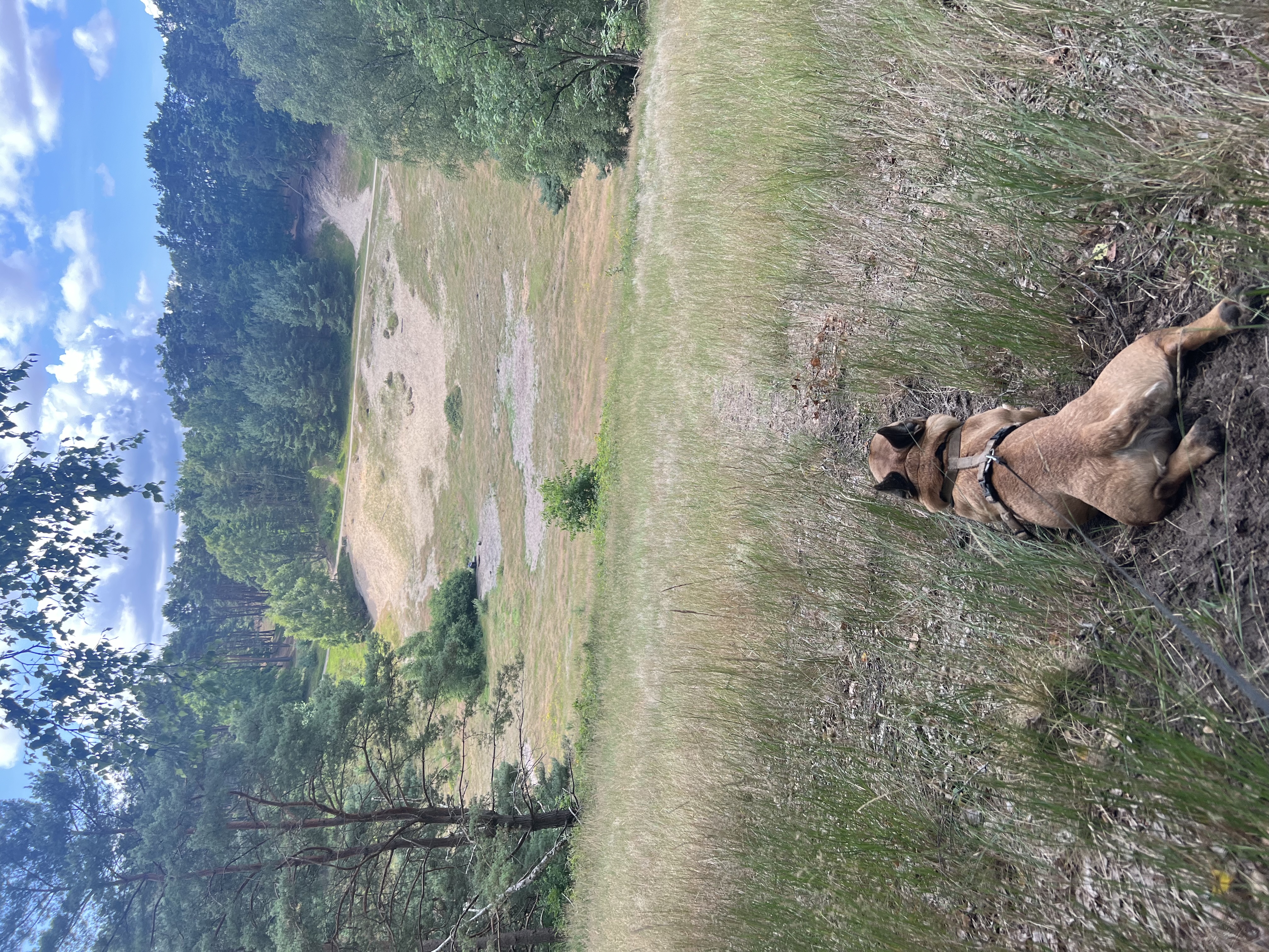 image-5