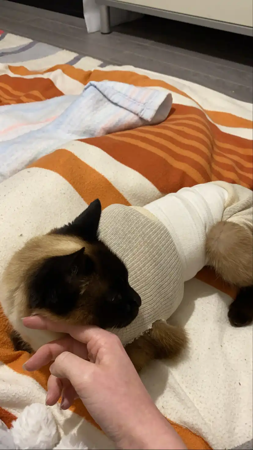image-6