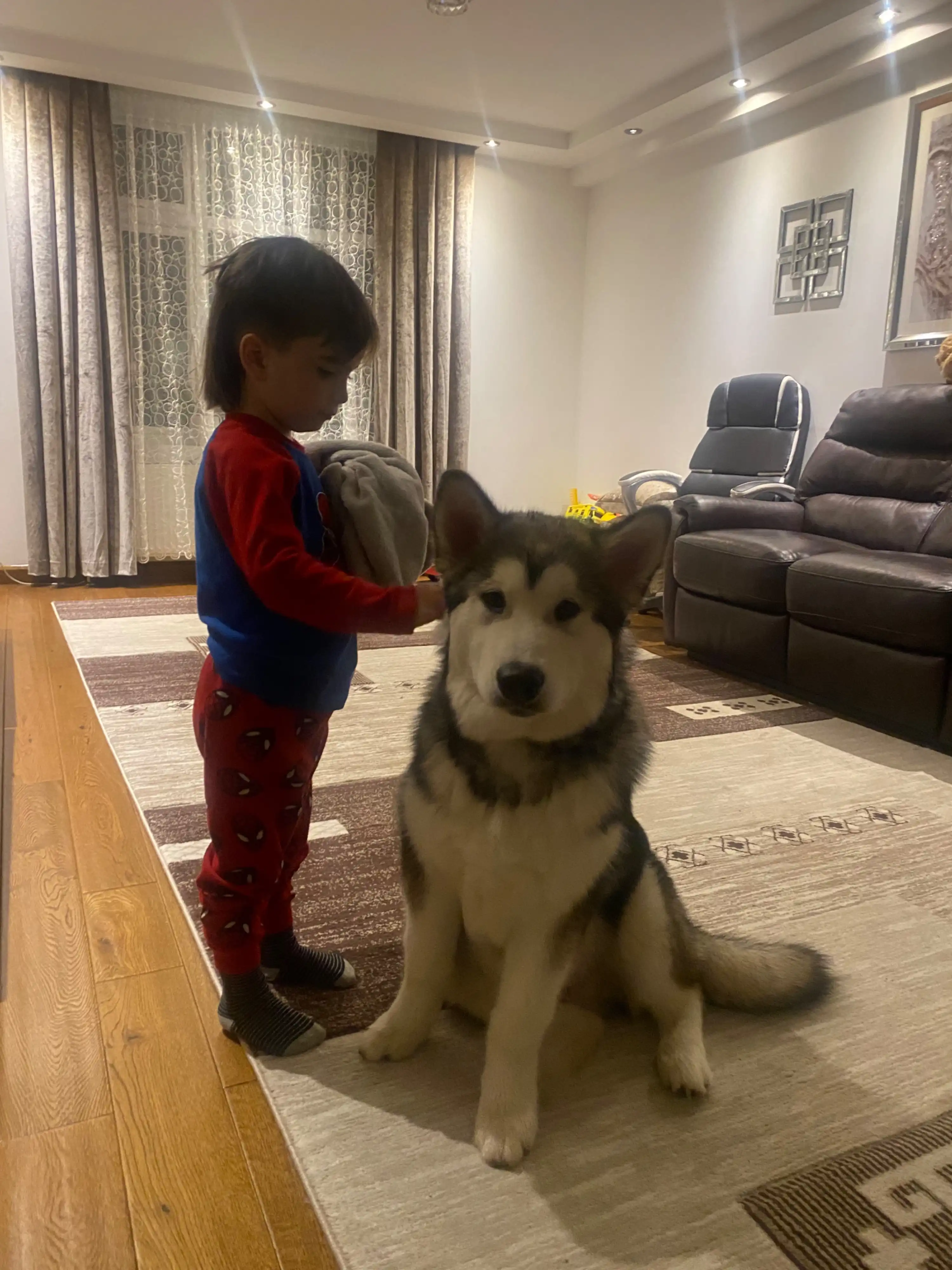 image-25