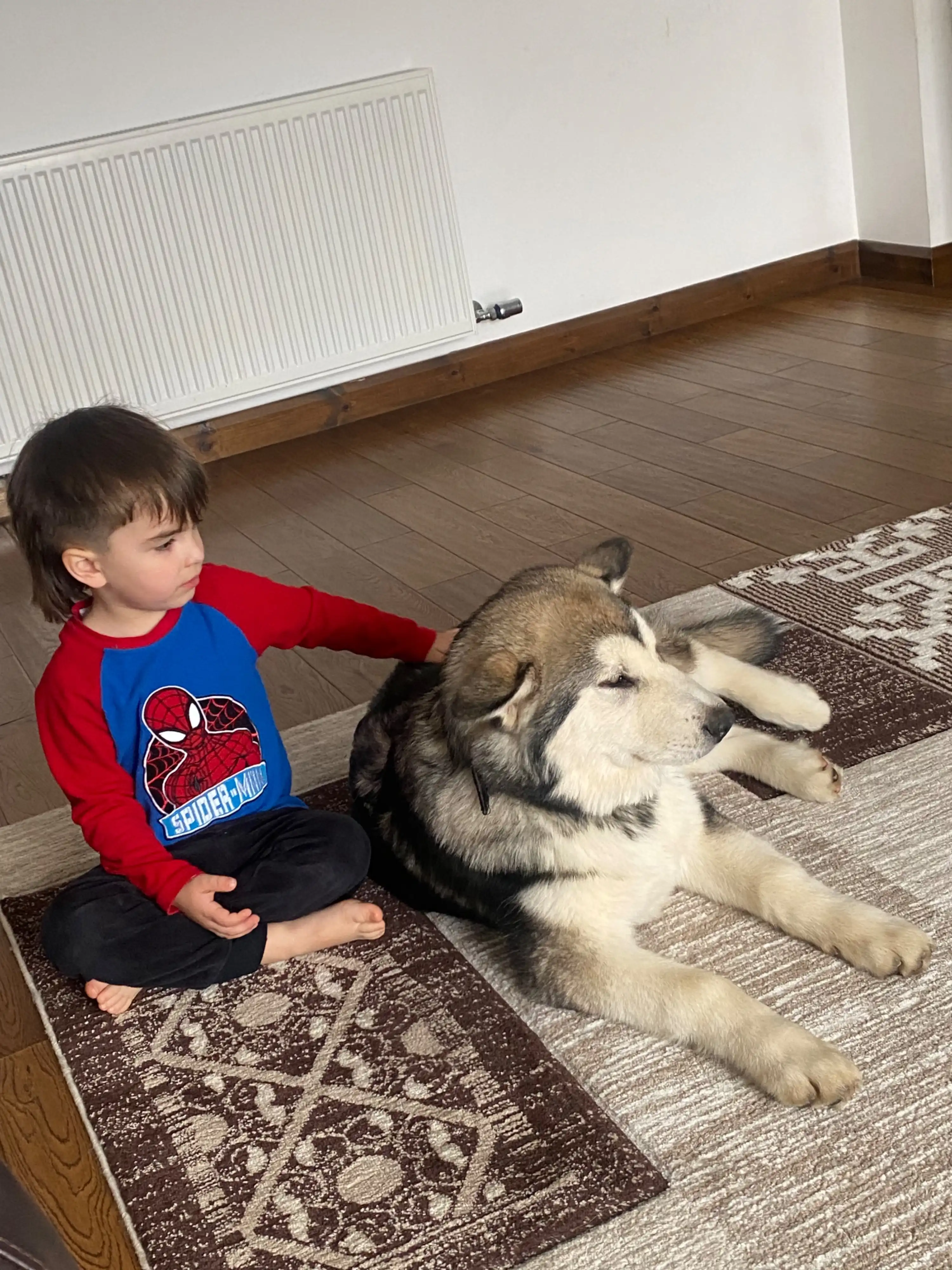 image-27