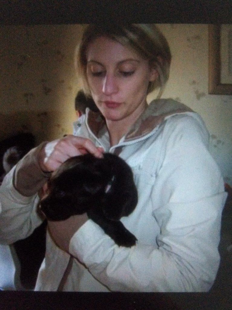 image-2