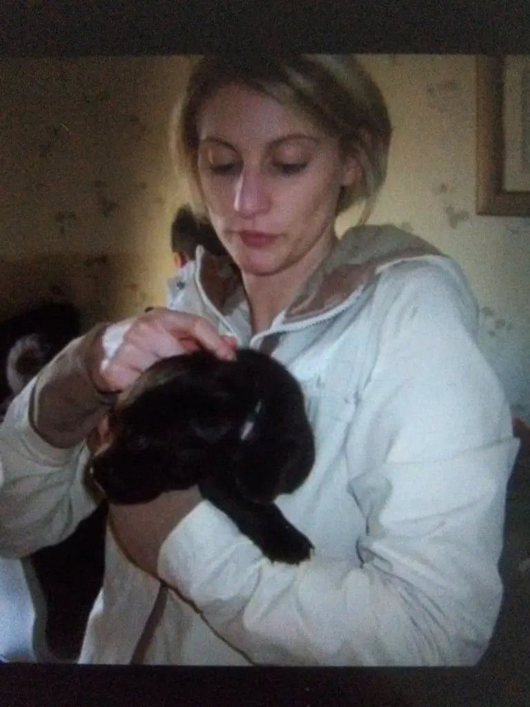 image-2