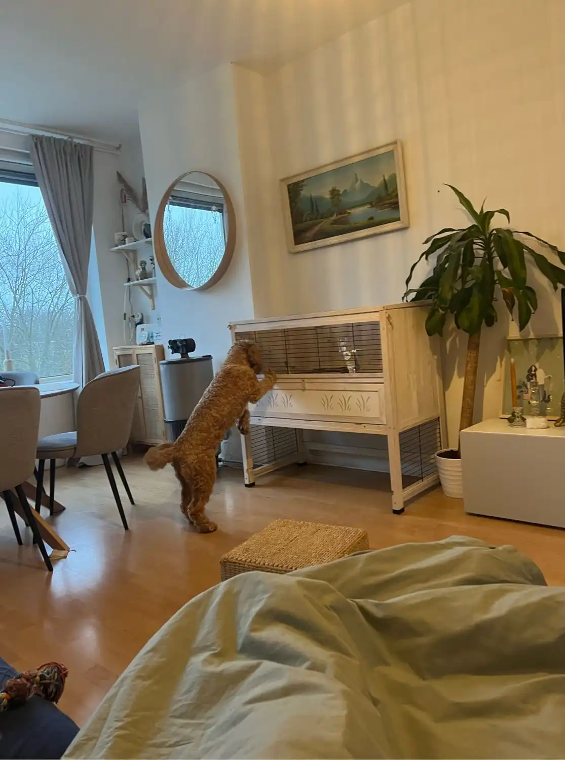image-15