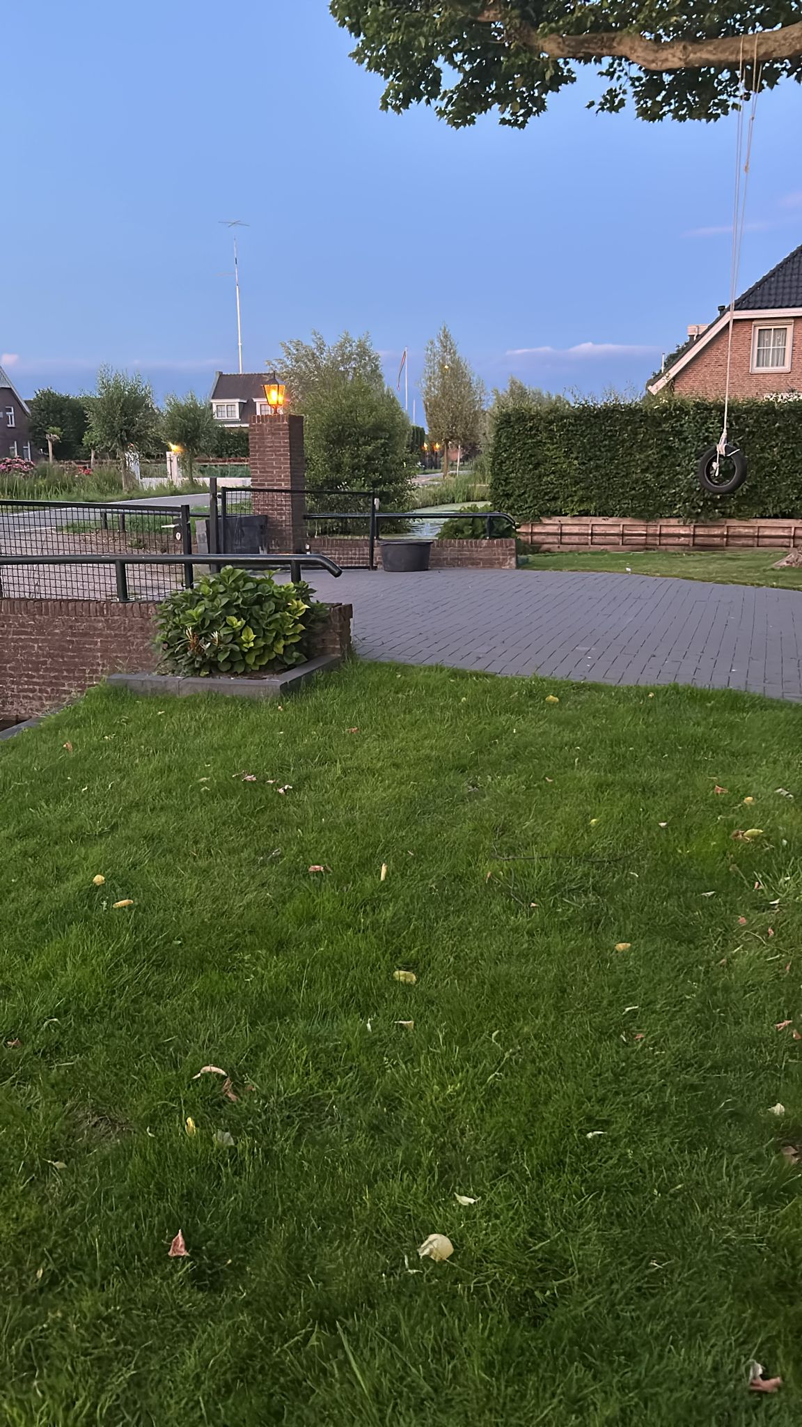 image-11