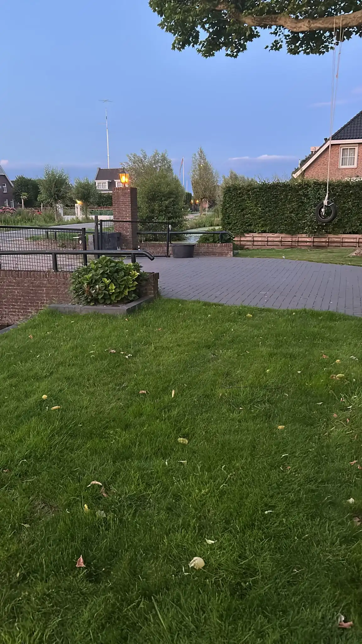 image-11