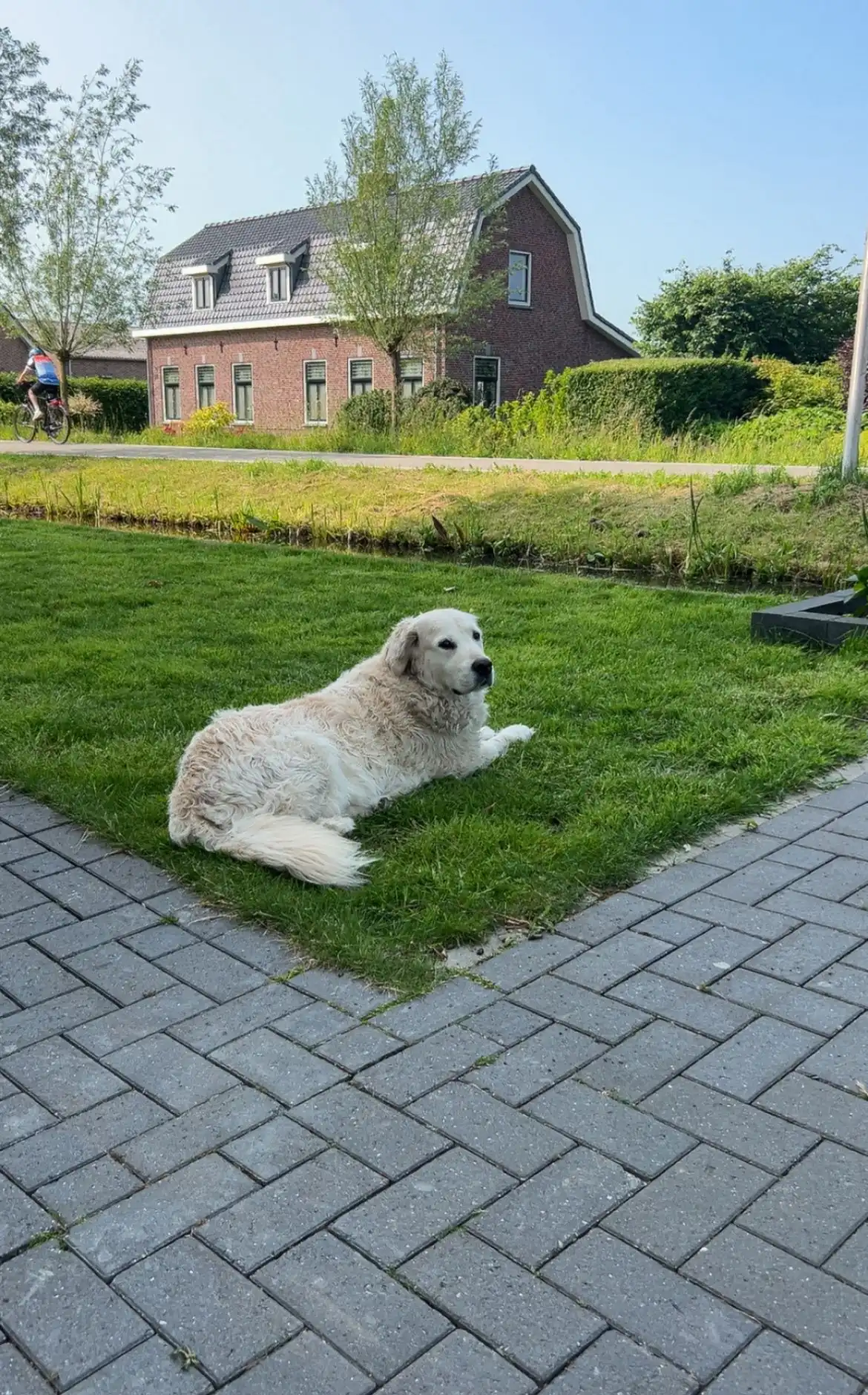 image-14