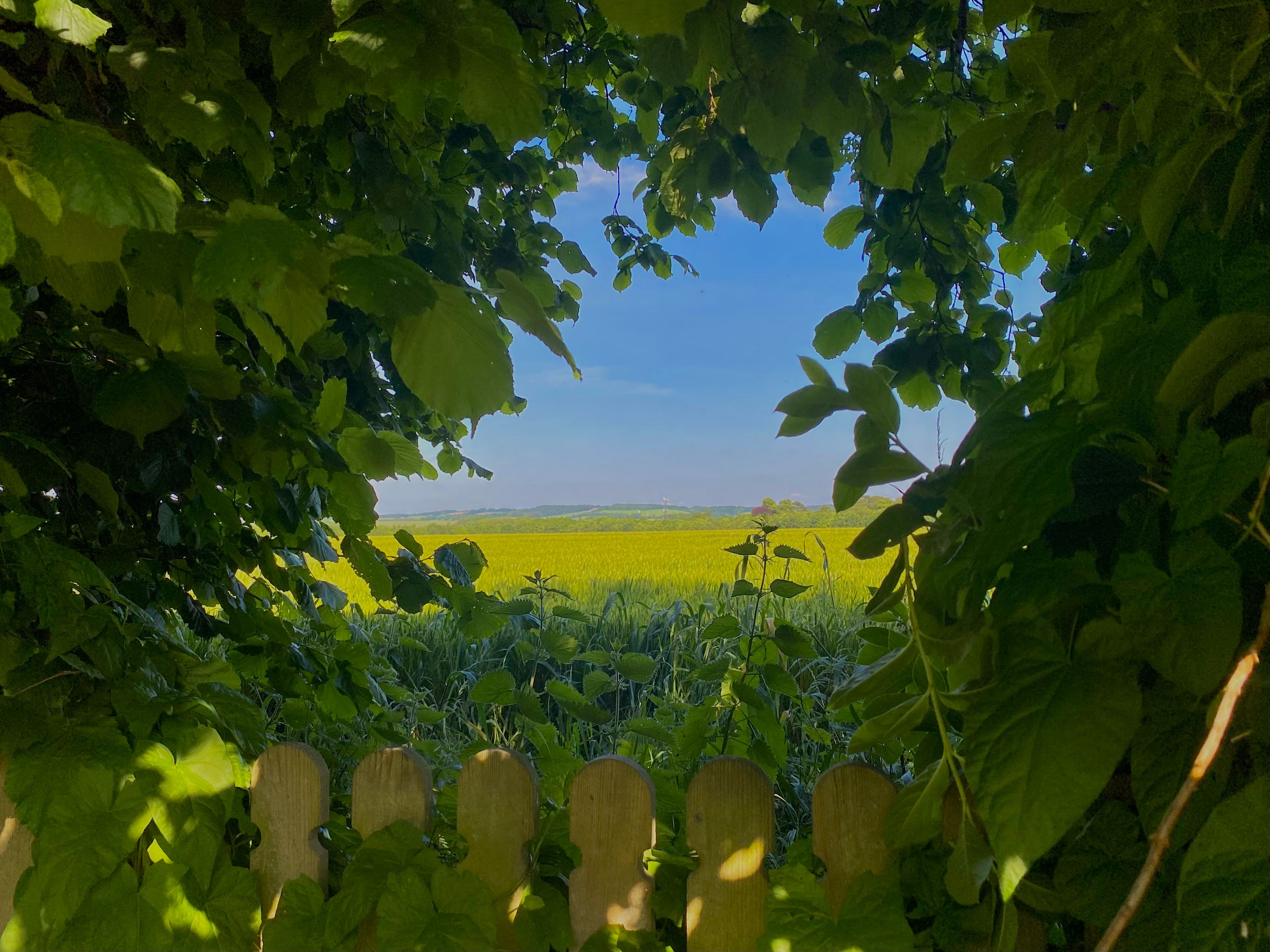 image-8