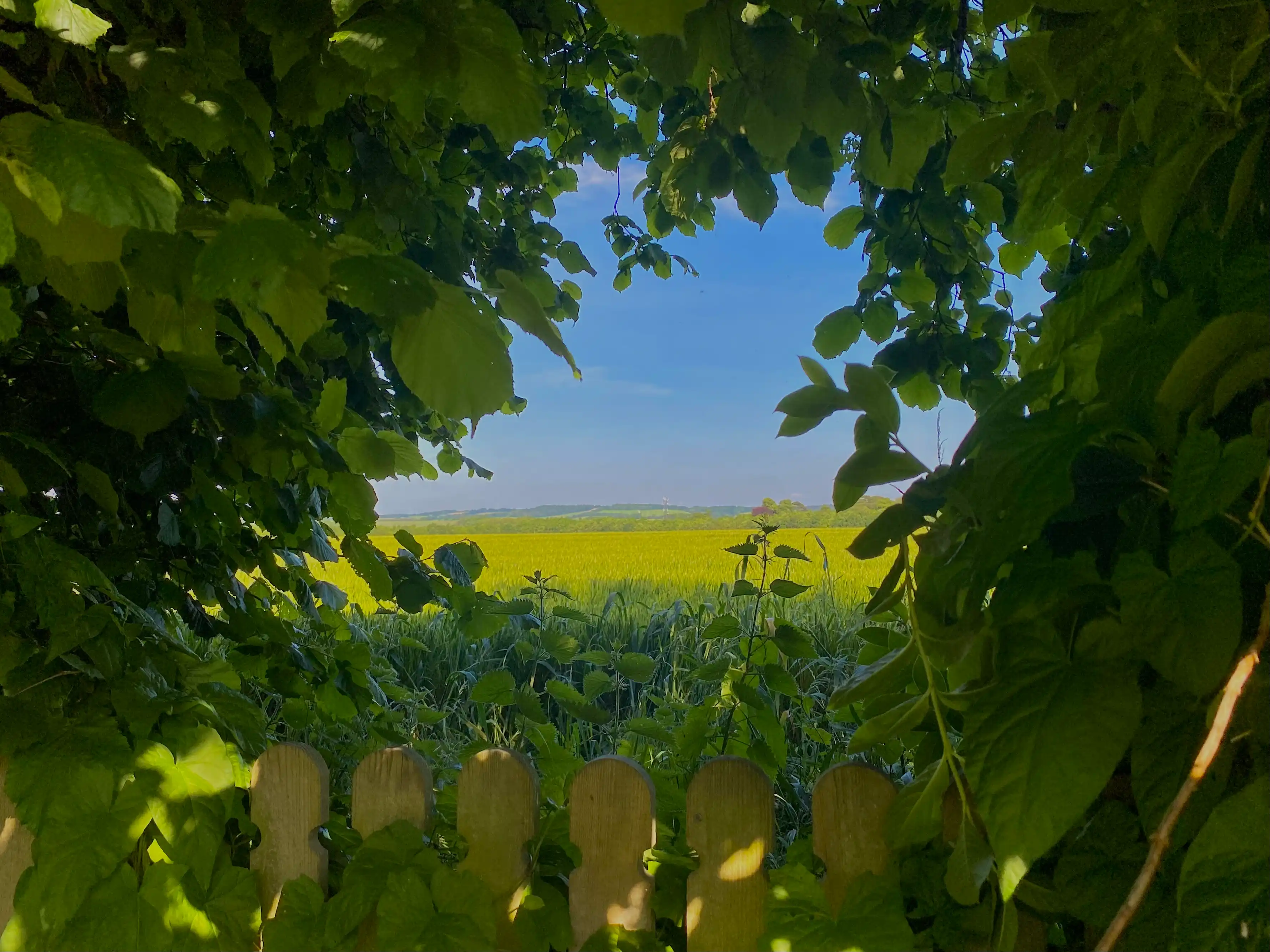 image-8
