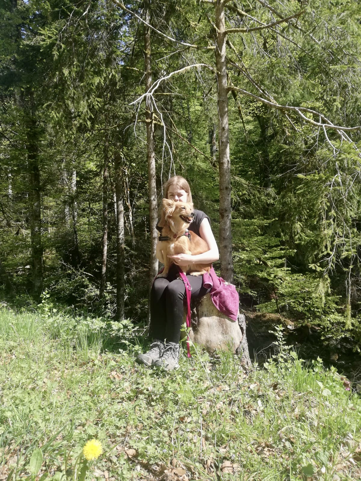 image-4
