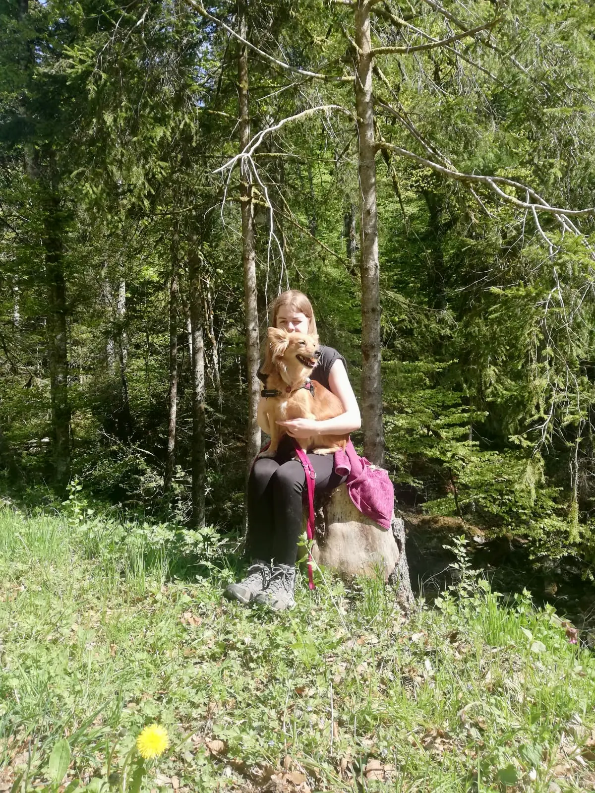 image-4