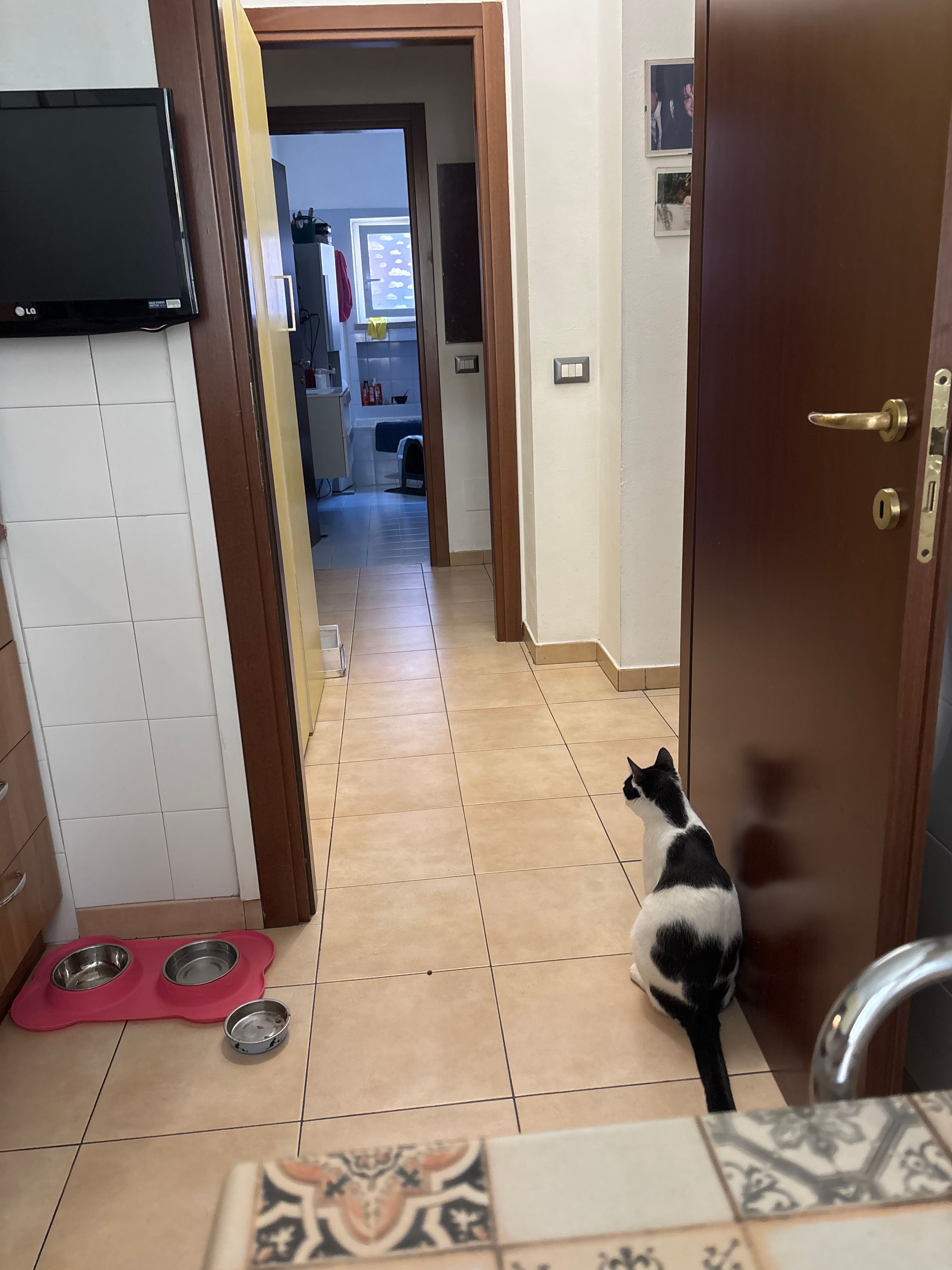 image-35
