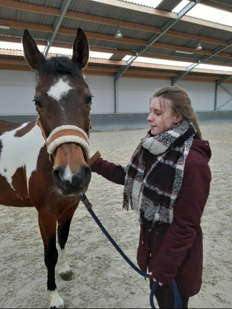 image-11