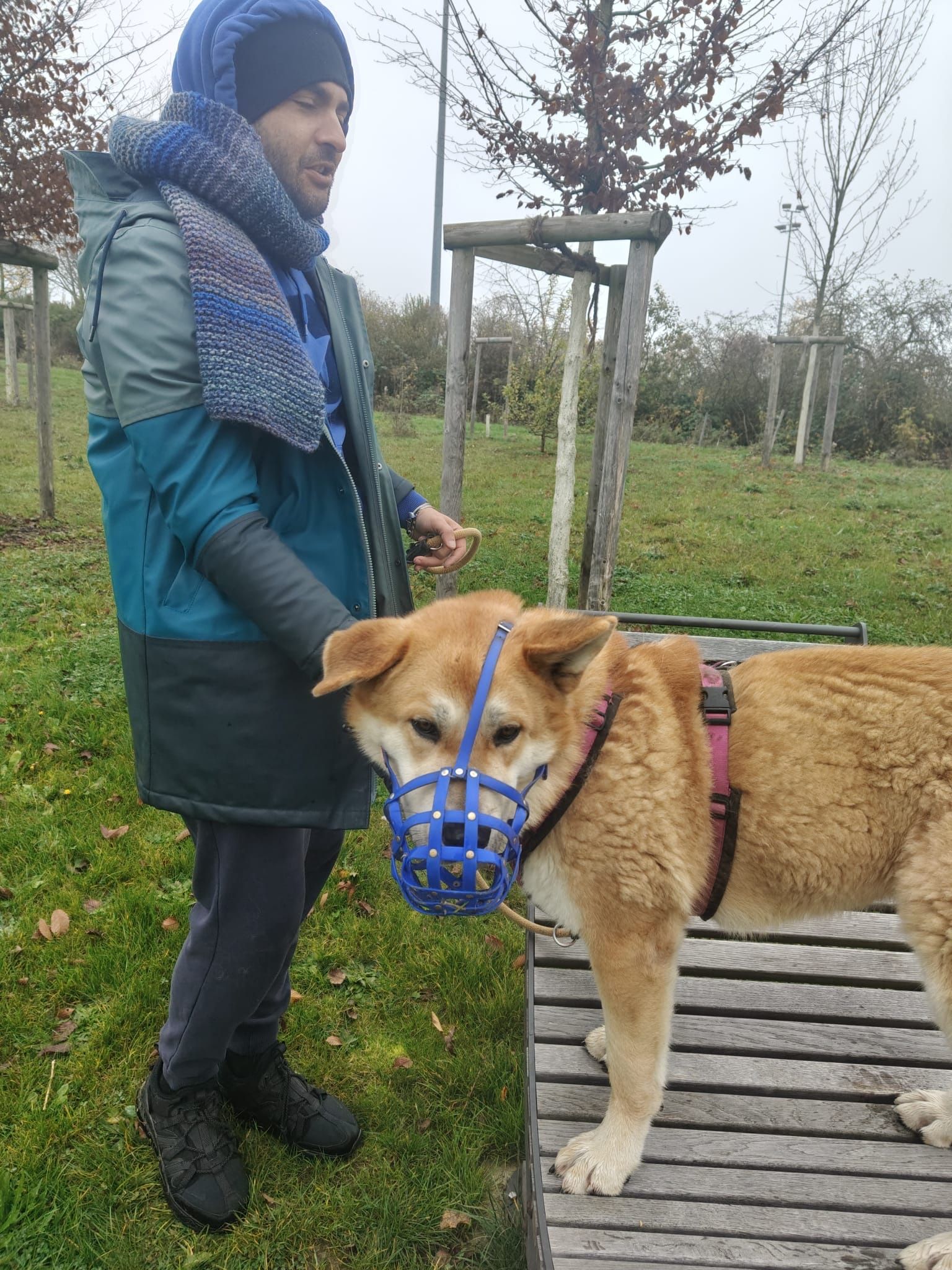 image-7