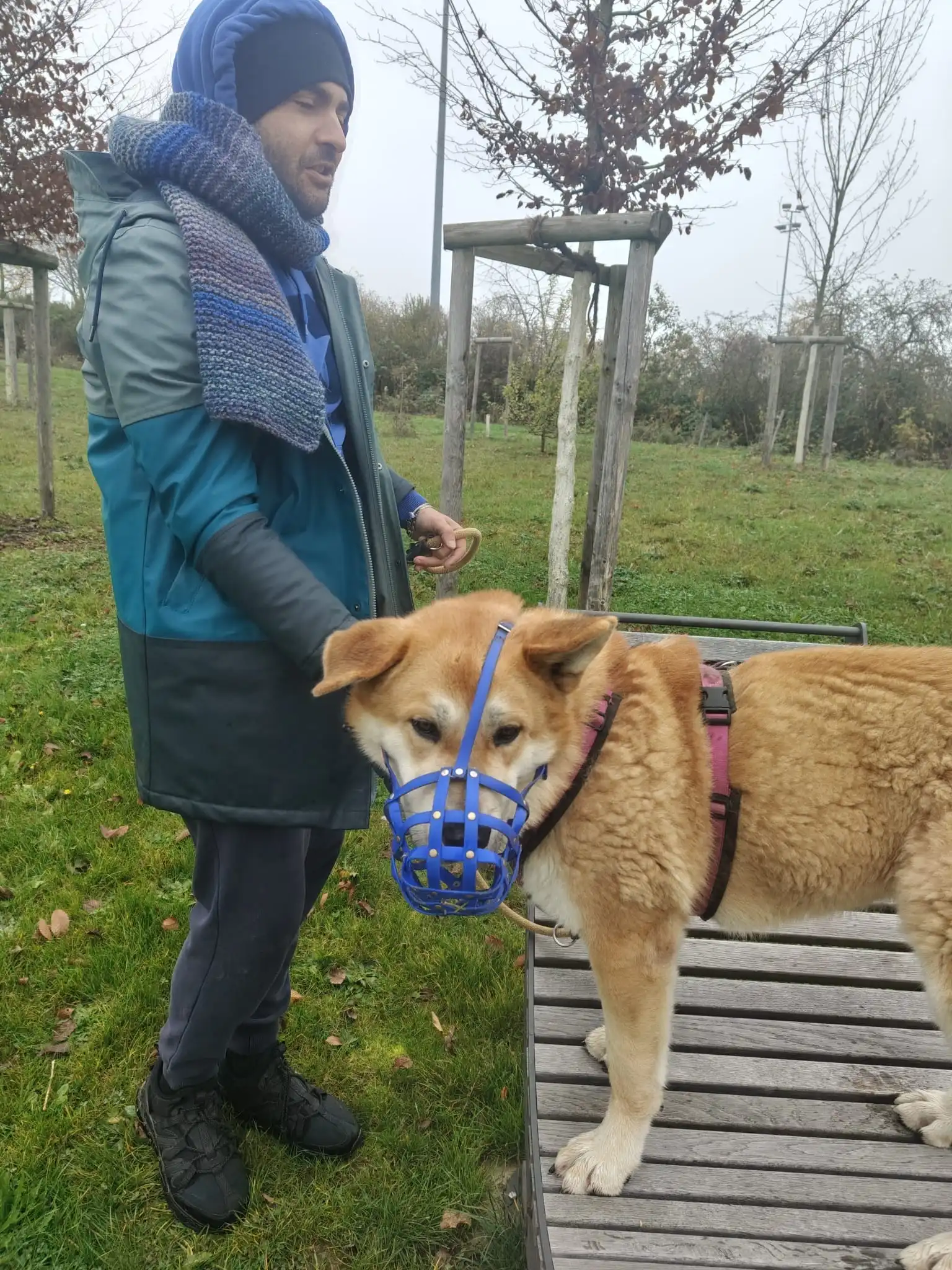 image-7