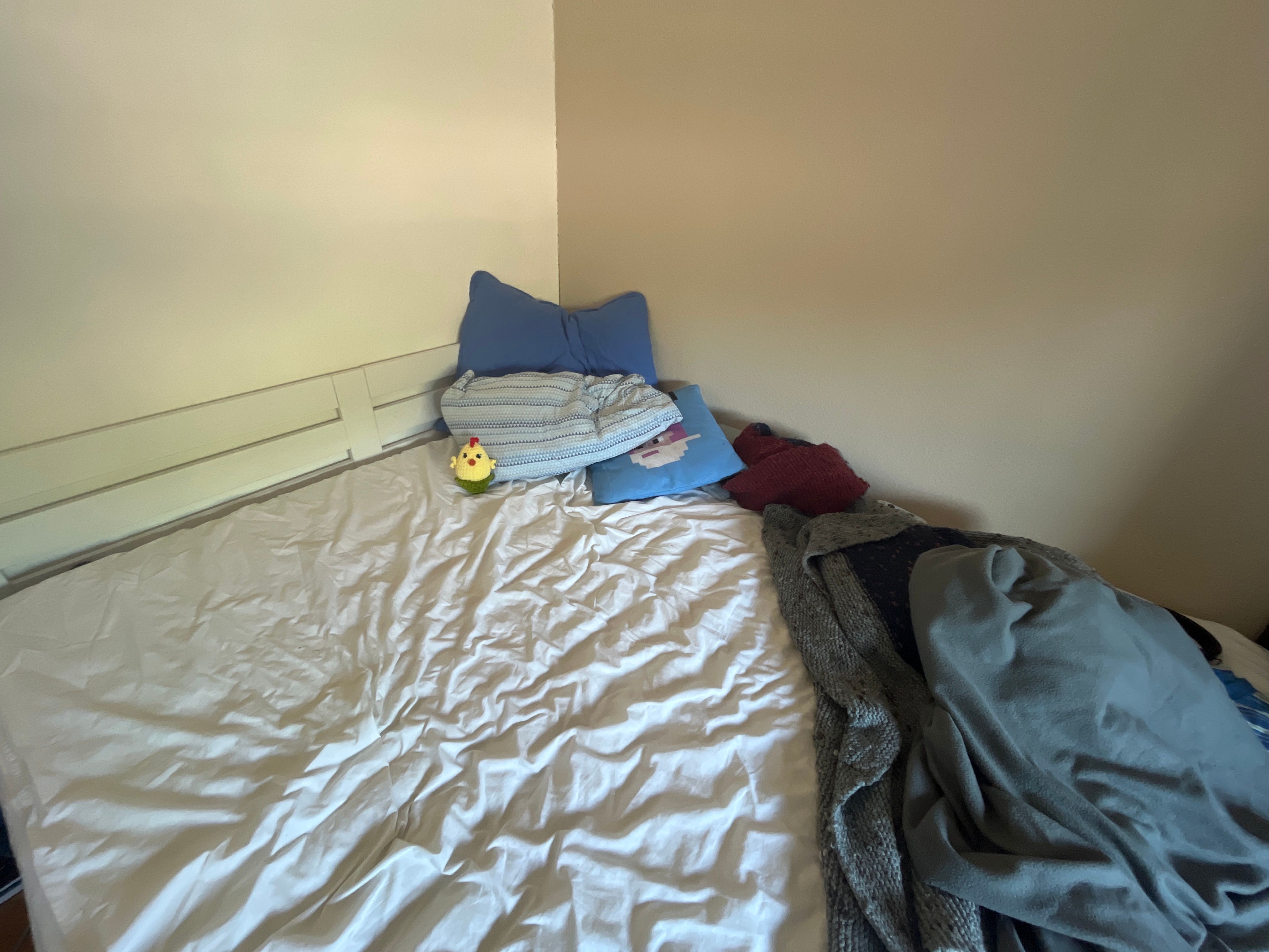 image-19