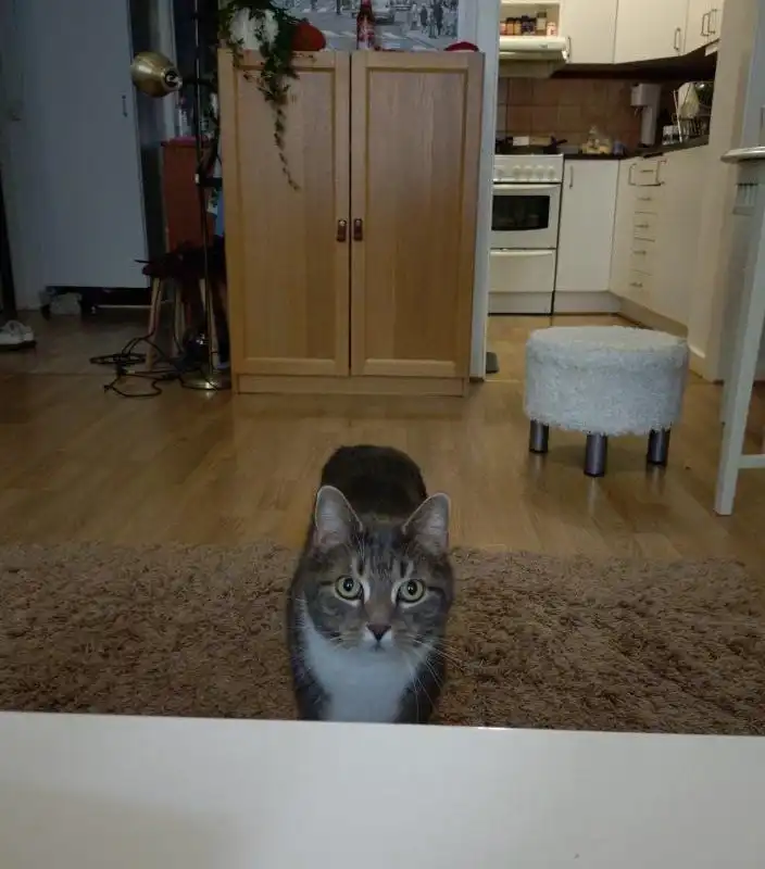 image-16