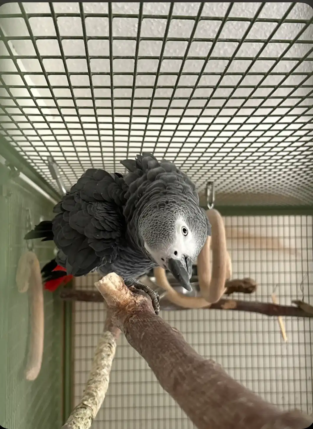 image-6