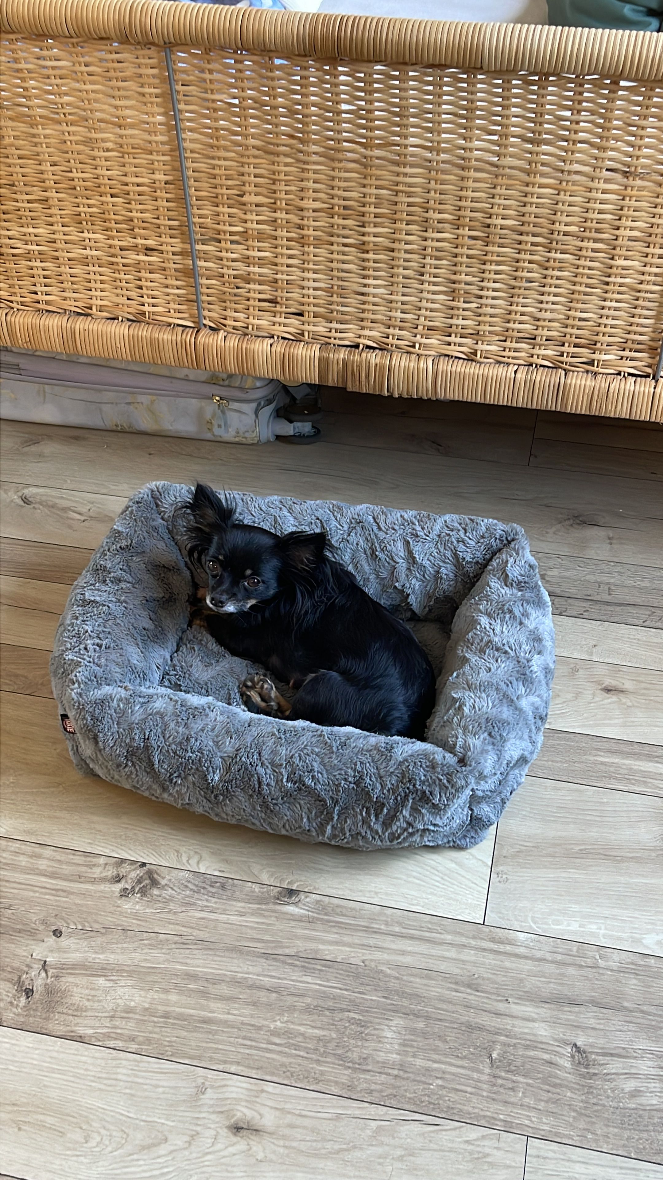 image-11
