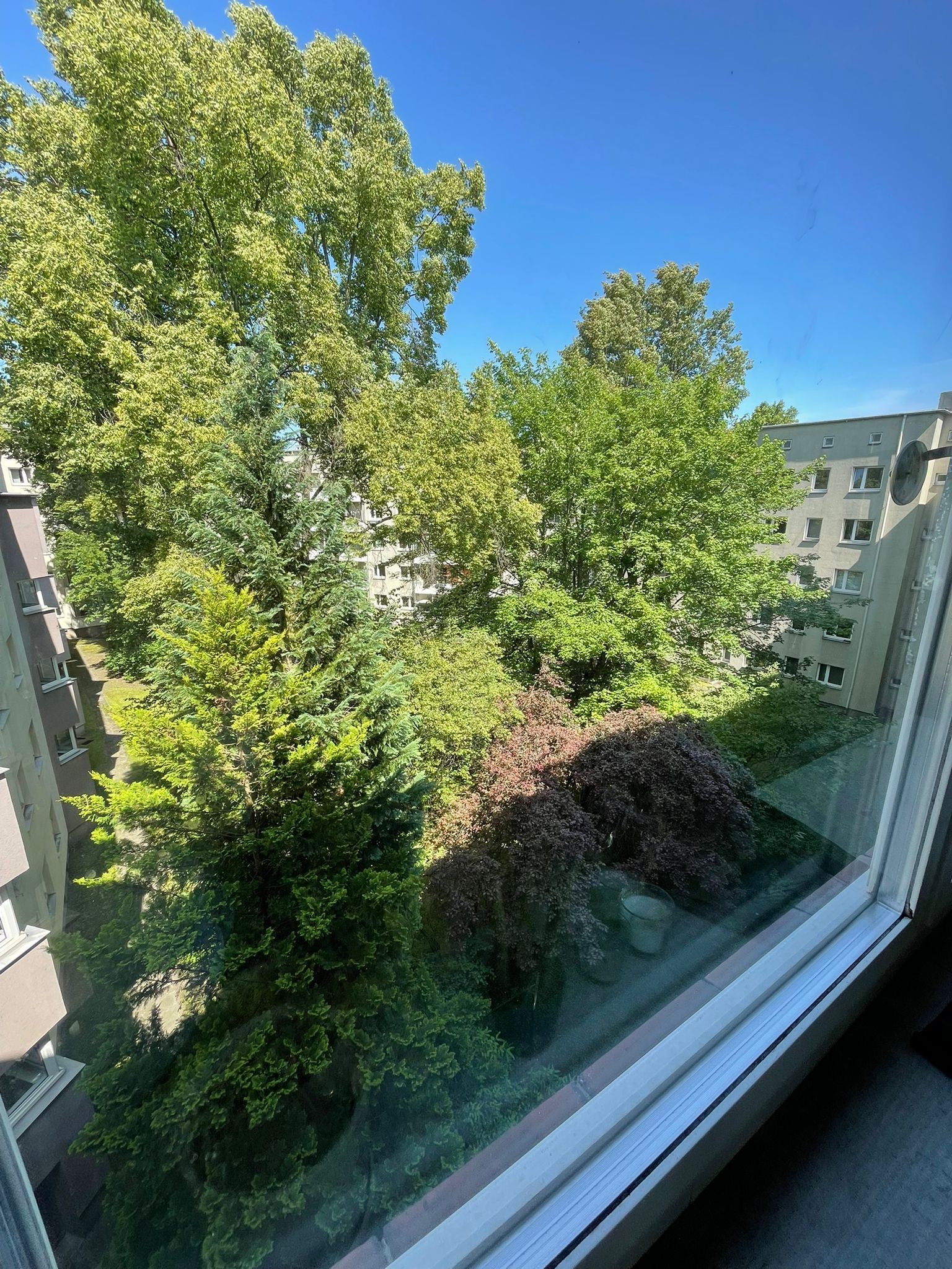 image-19