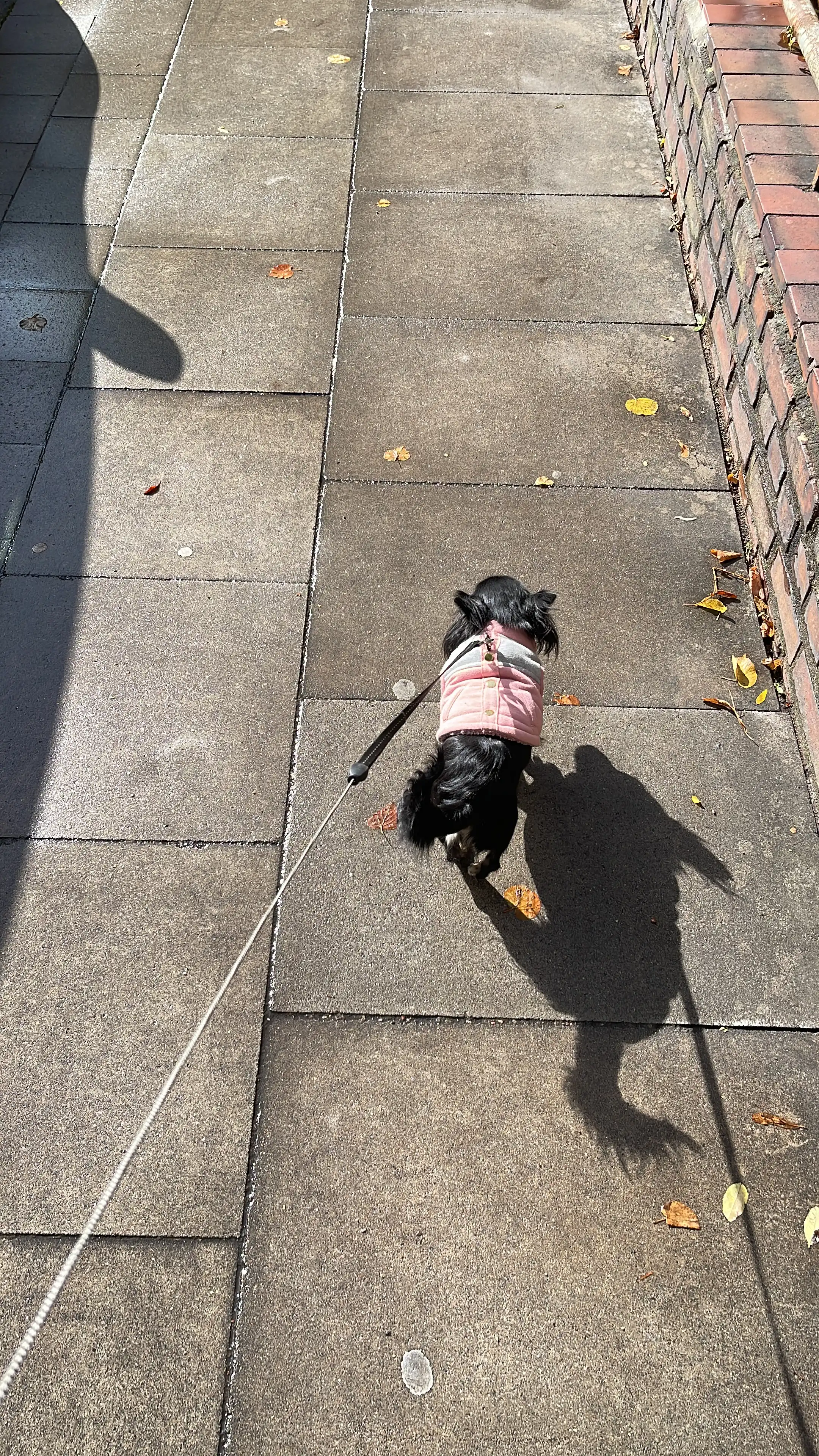 image-5