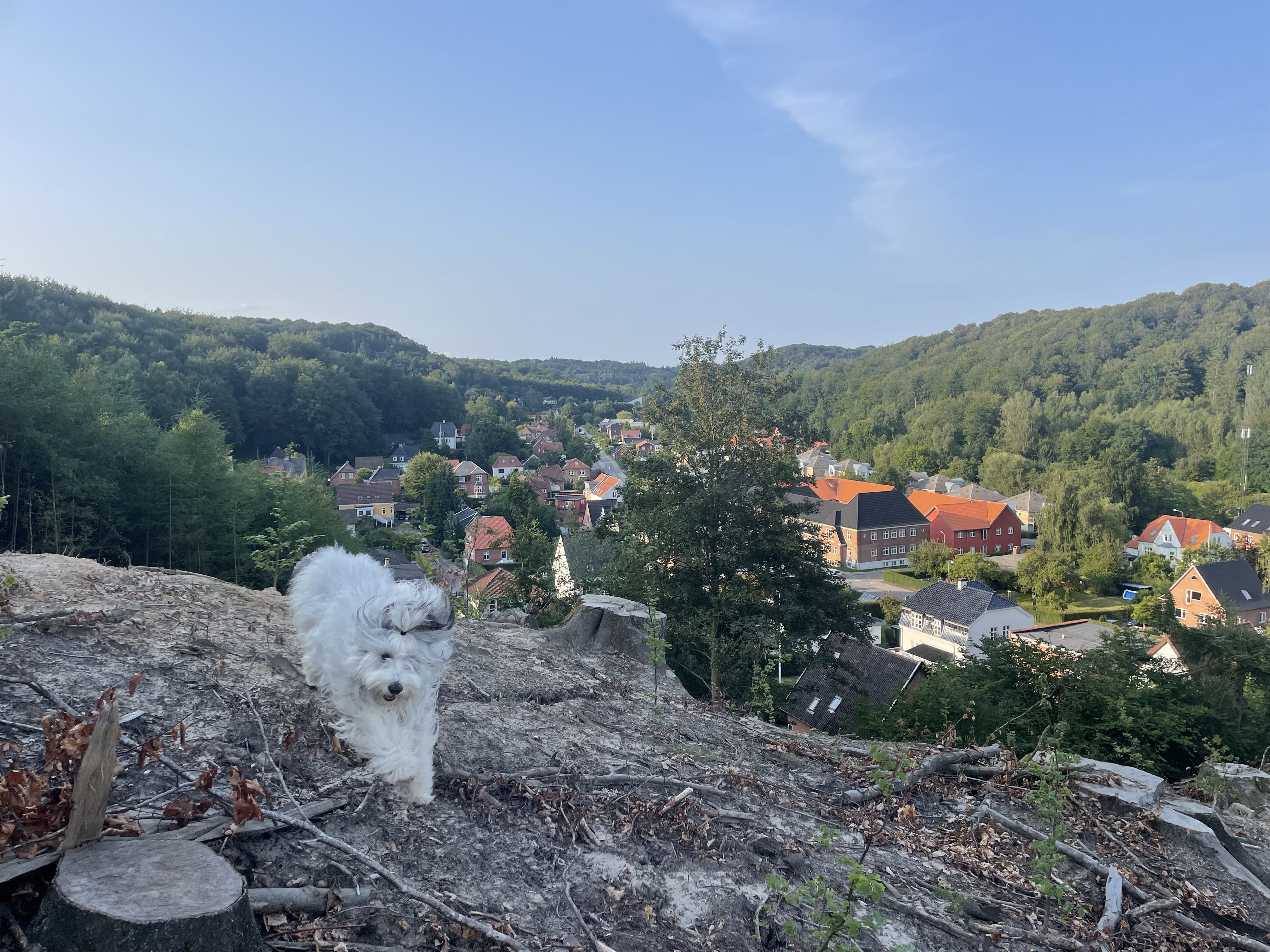 image-18