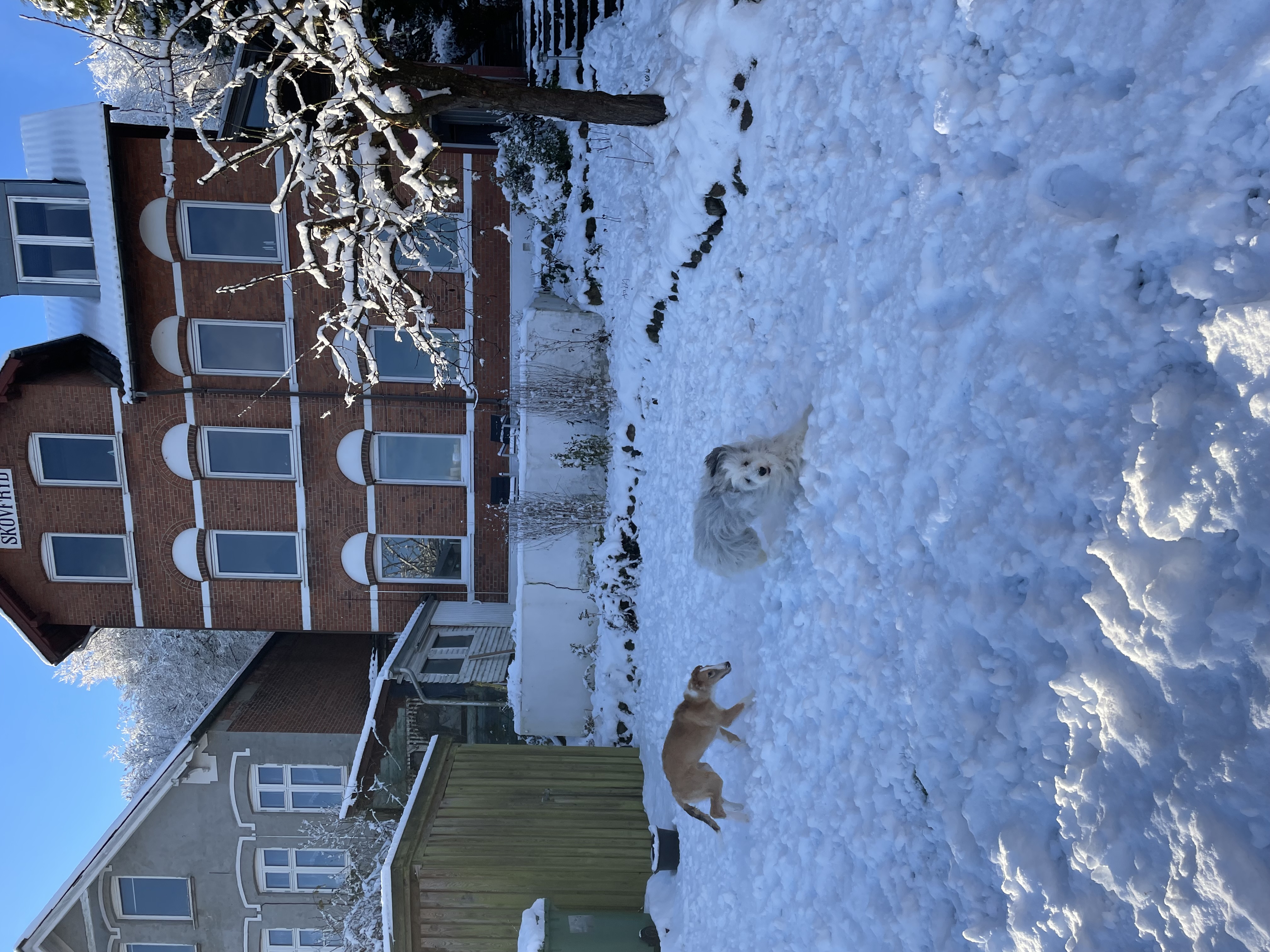image-15