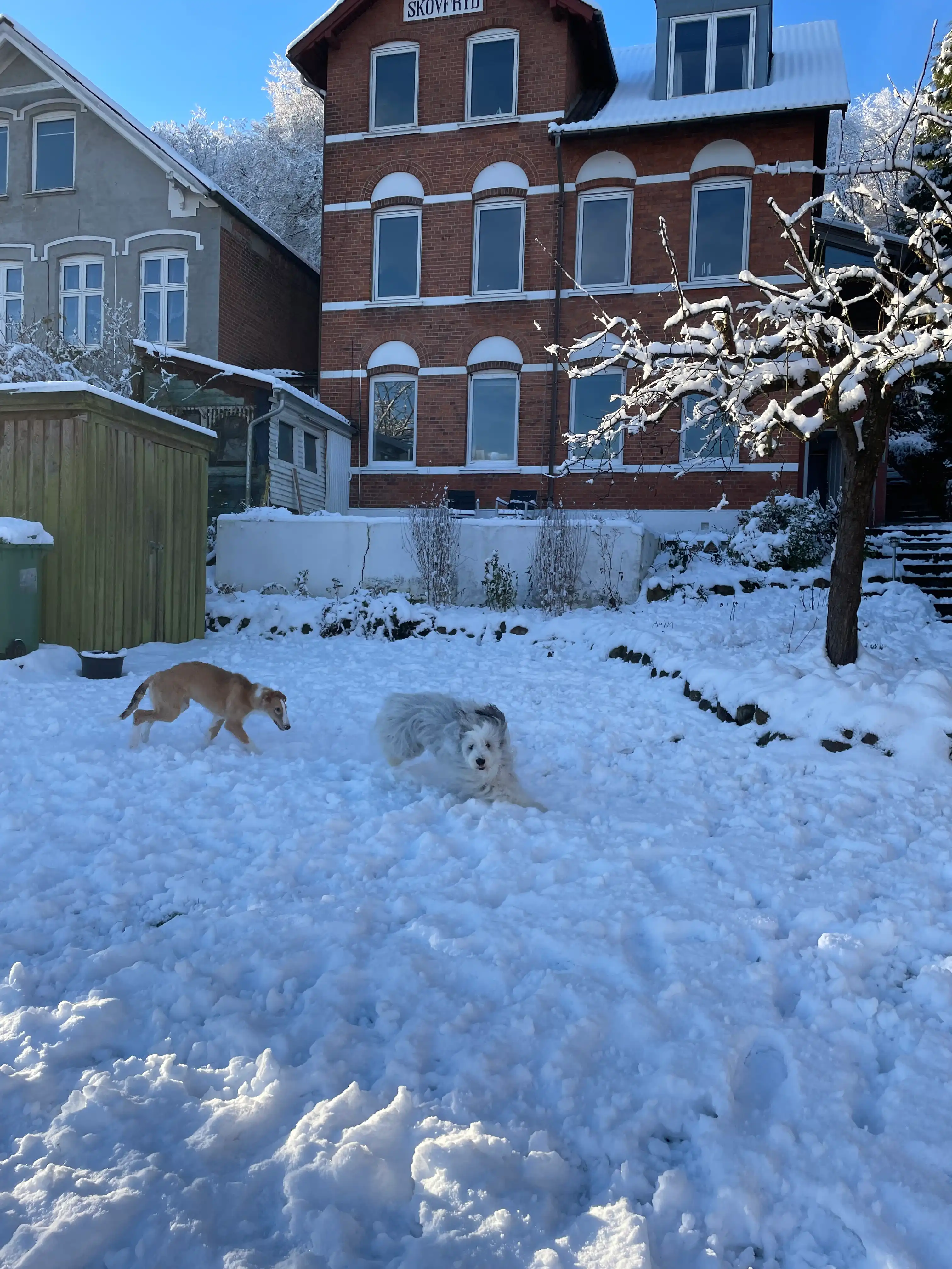 image-15