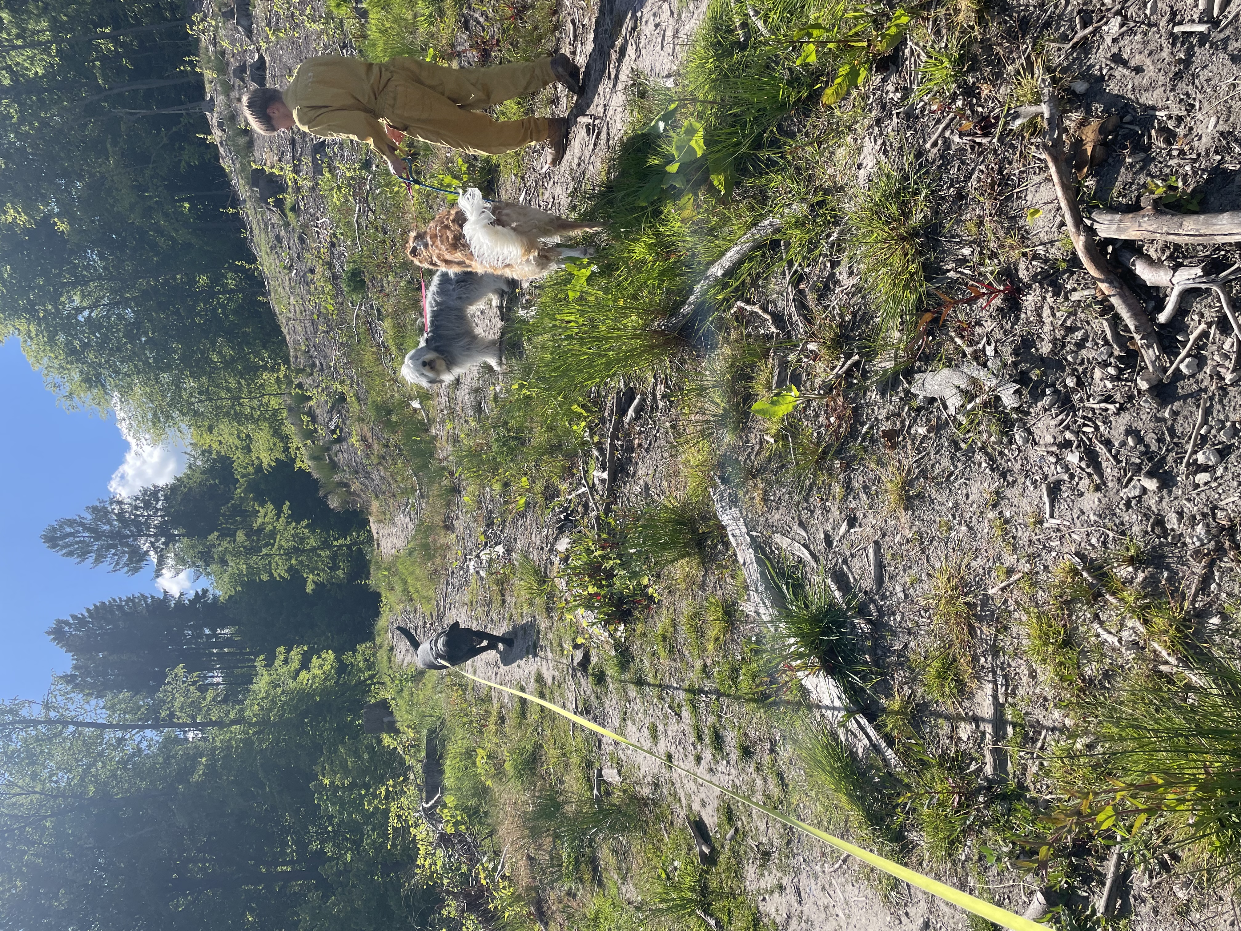 image-7