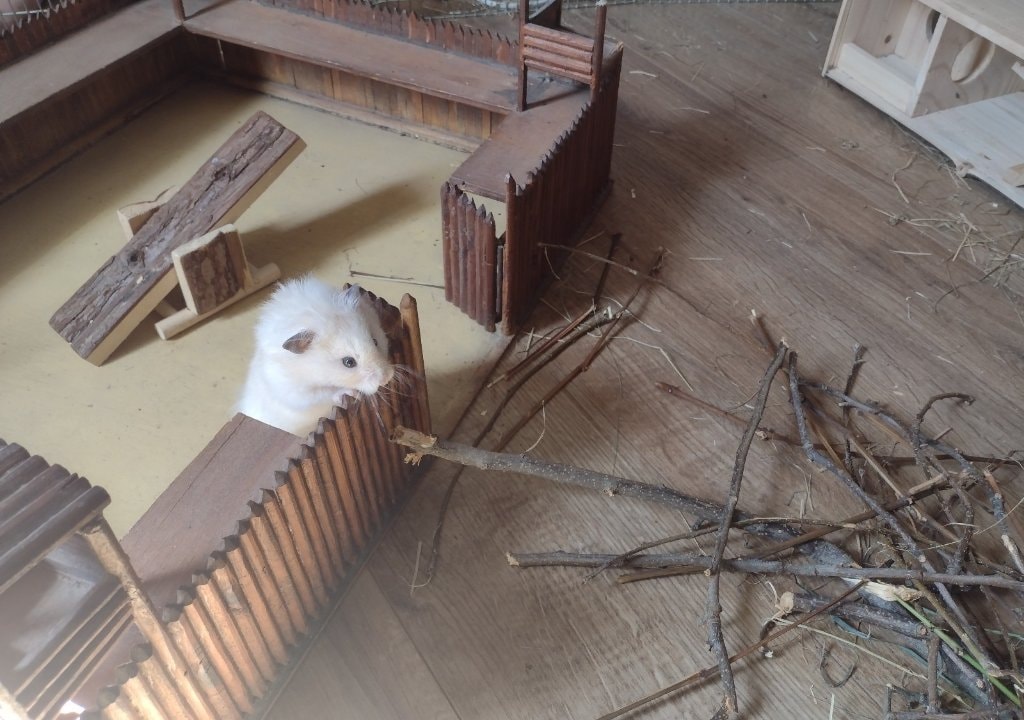 image-4