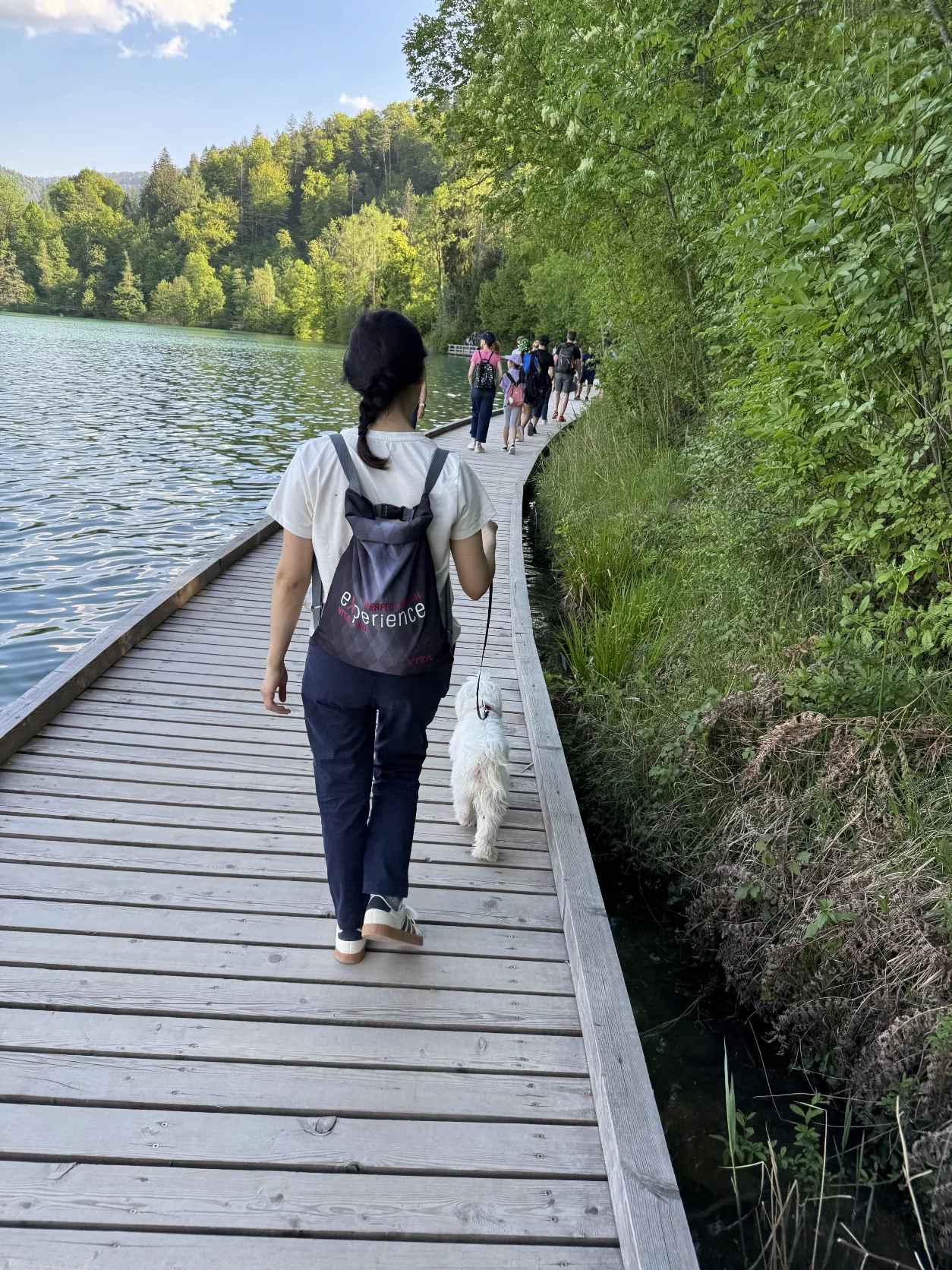 image-7