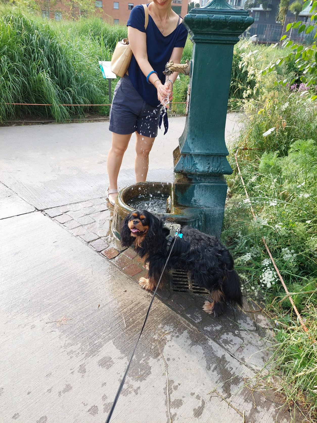 image-10