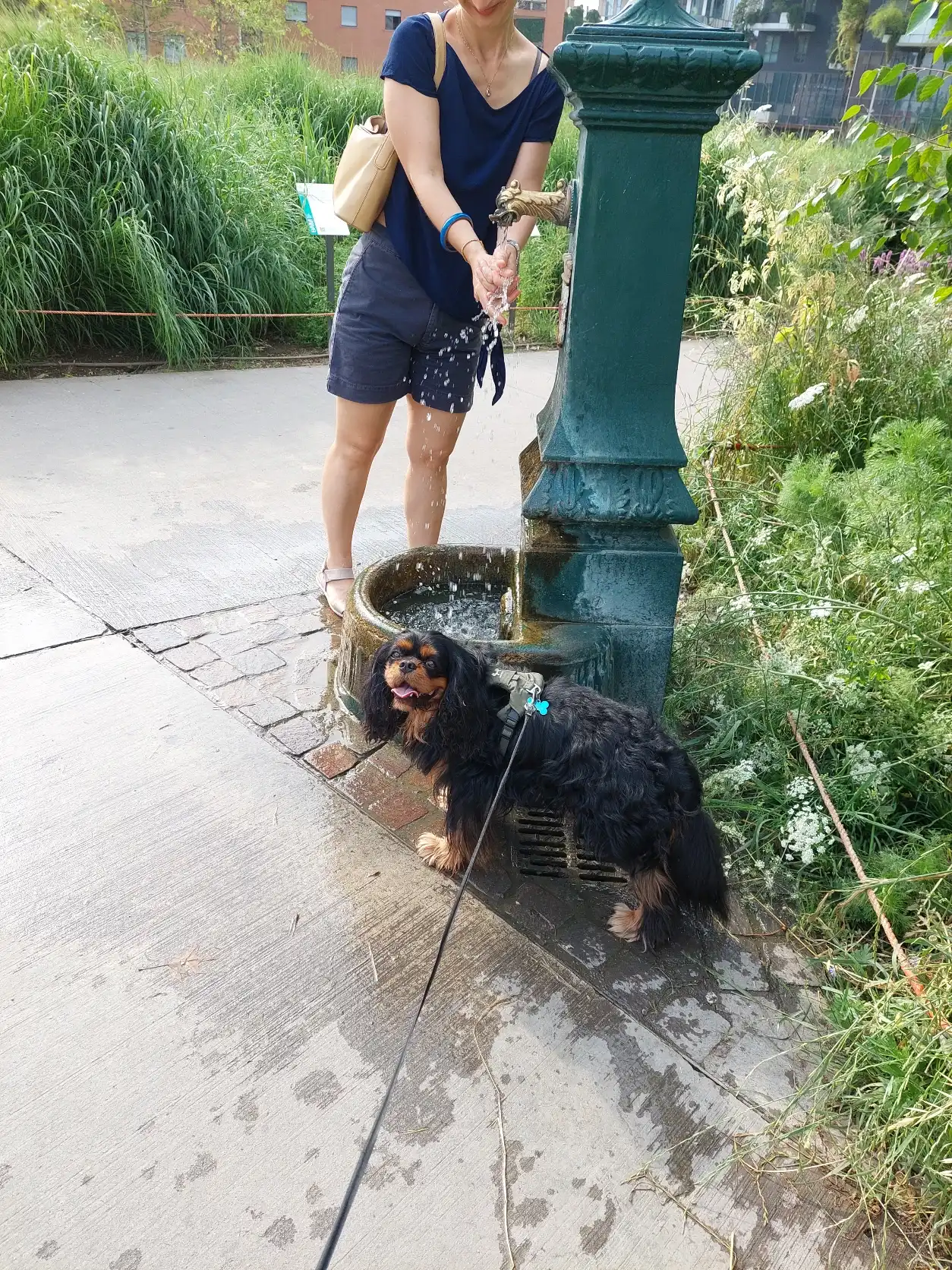 image-10