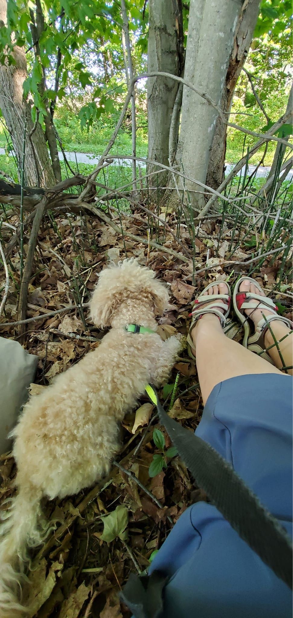 image-8
