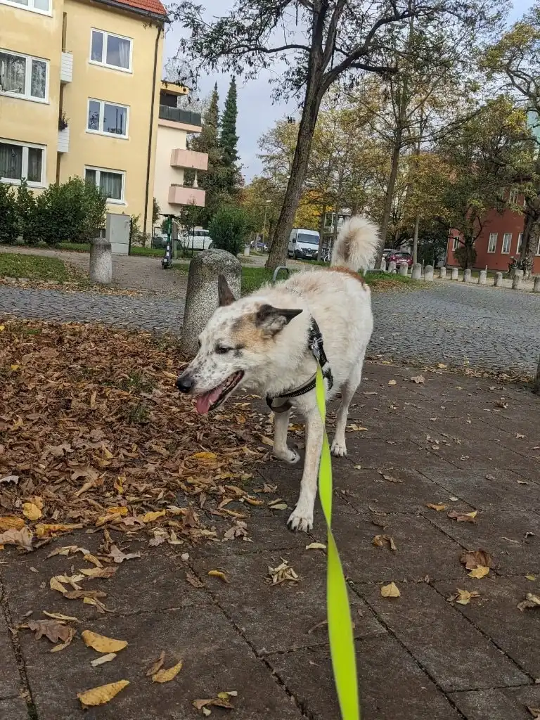 image-9