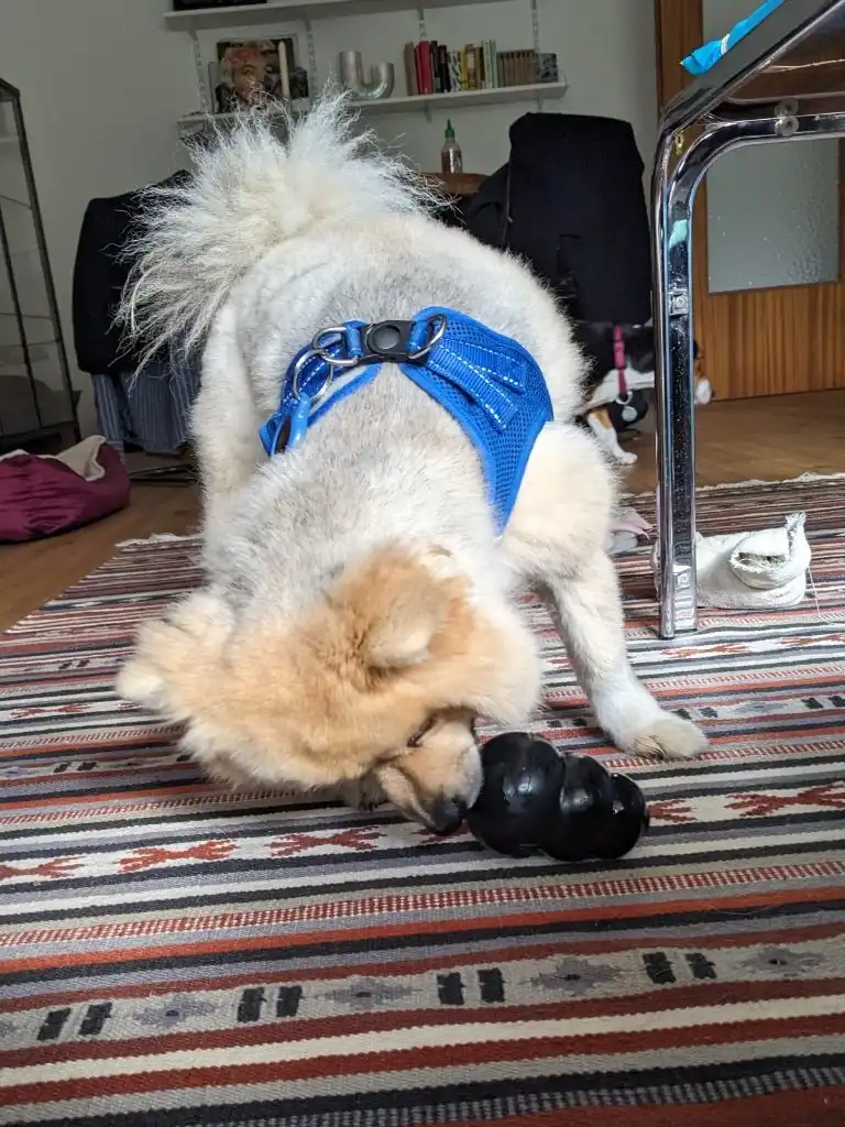 image-8