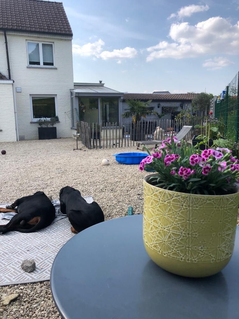 image-19