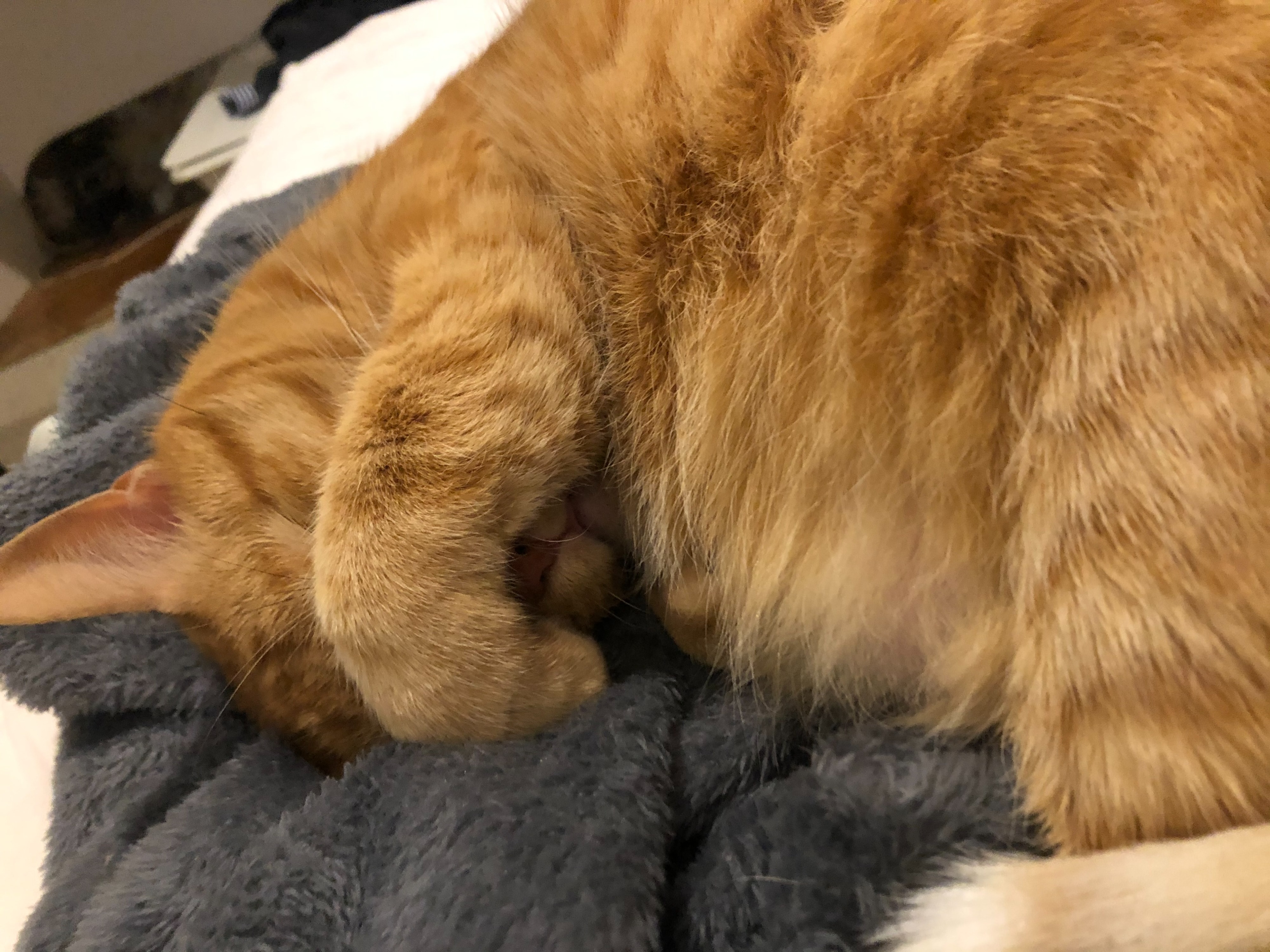 image-6