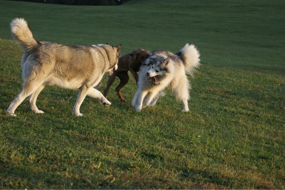 image-4