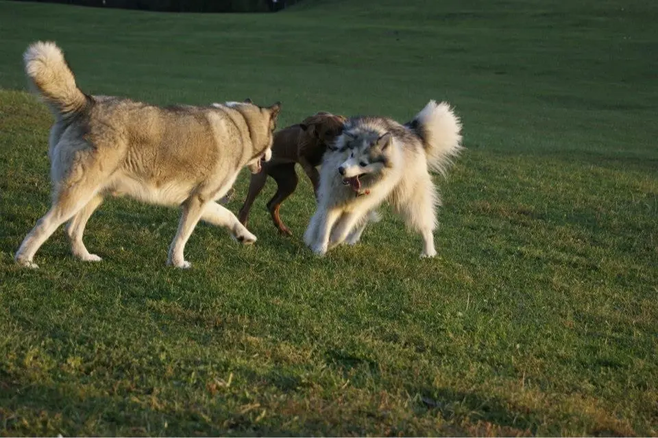 image-4