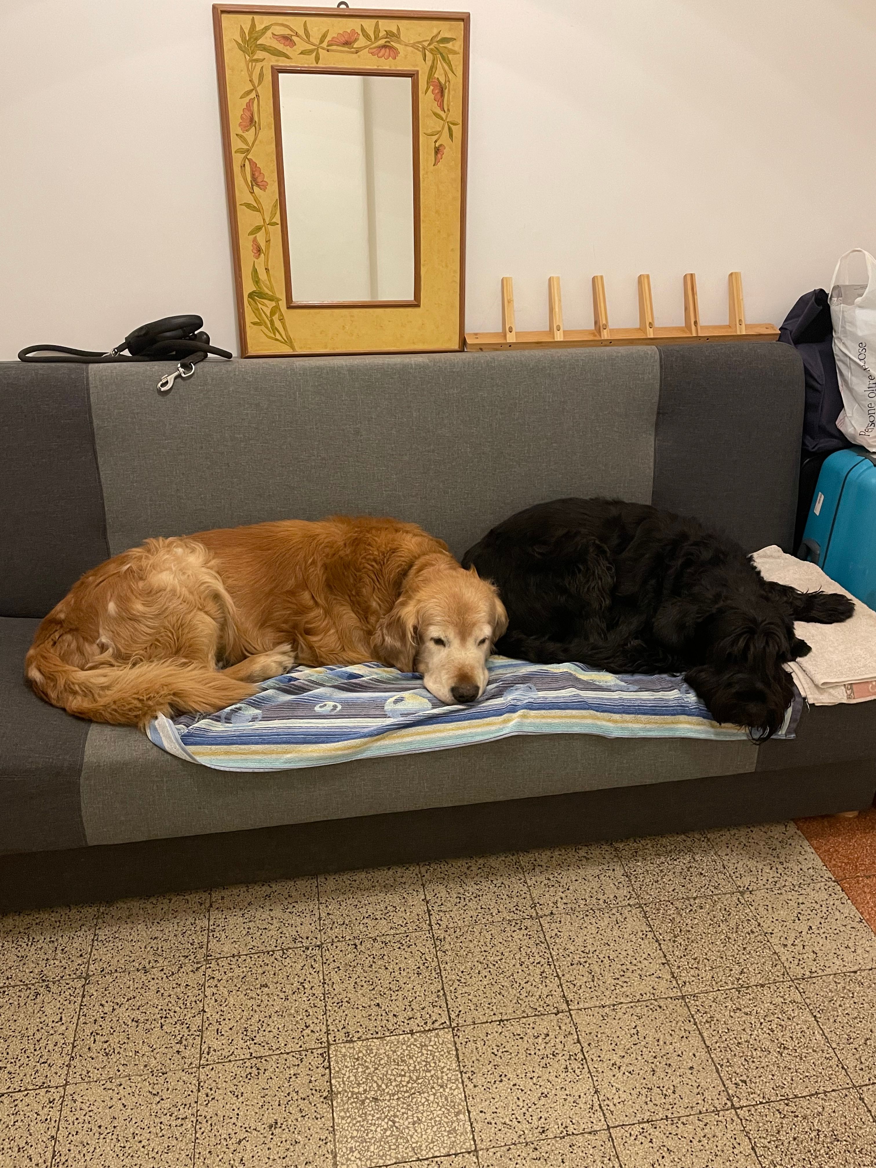 image-19