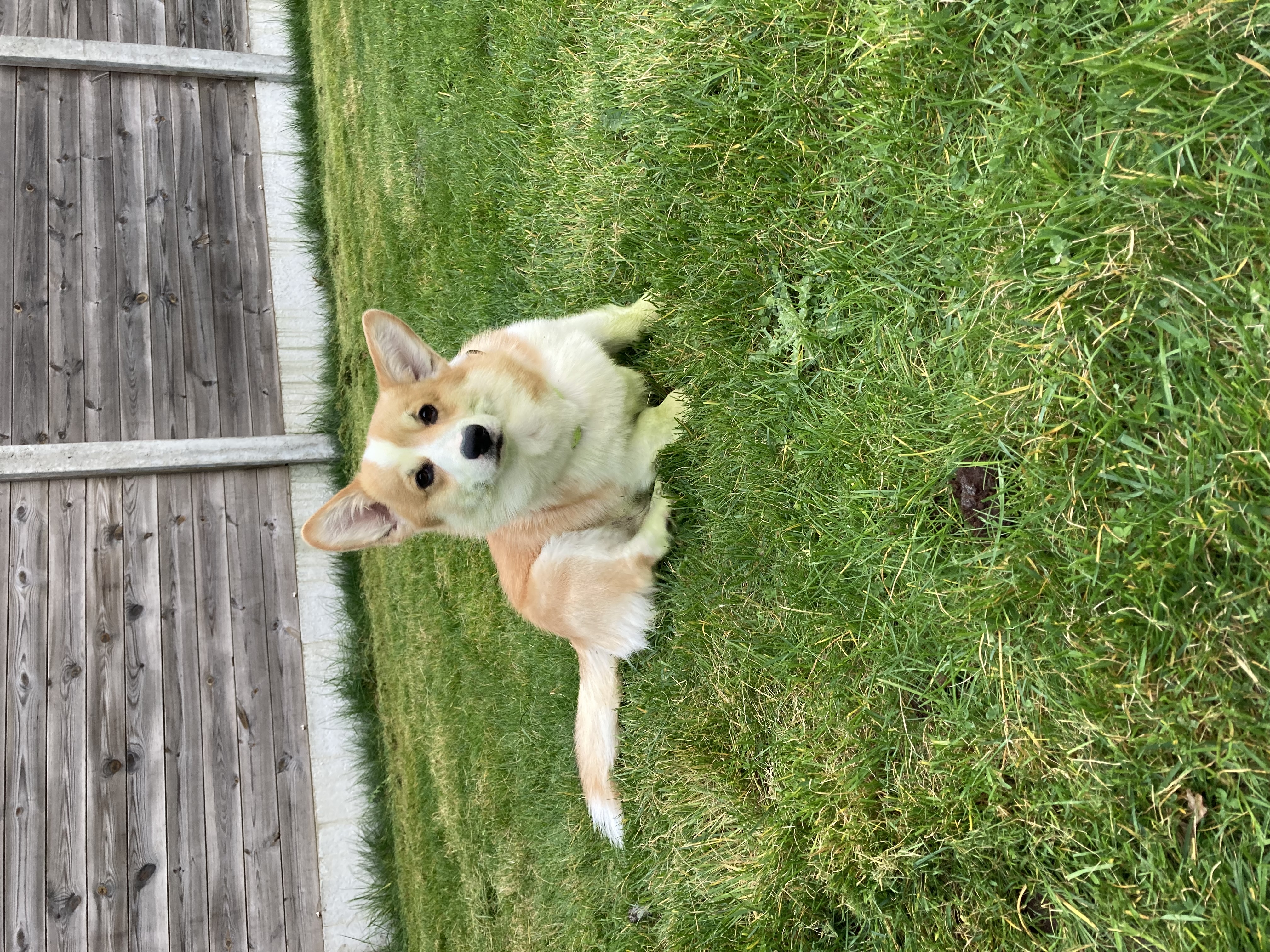 image-9