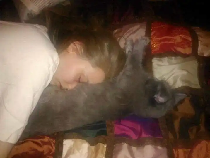 image-8
